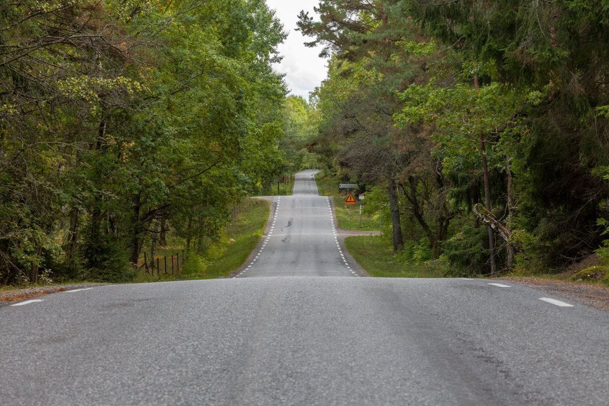 Grönskande inramning på Adelsös slingrande vägar