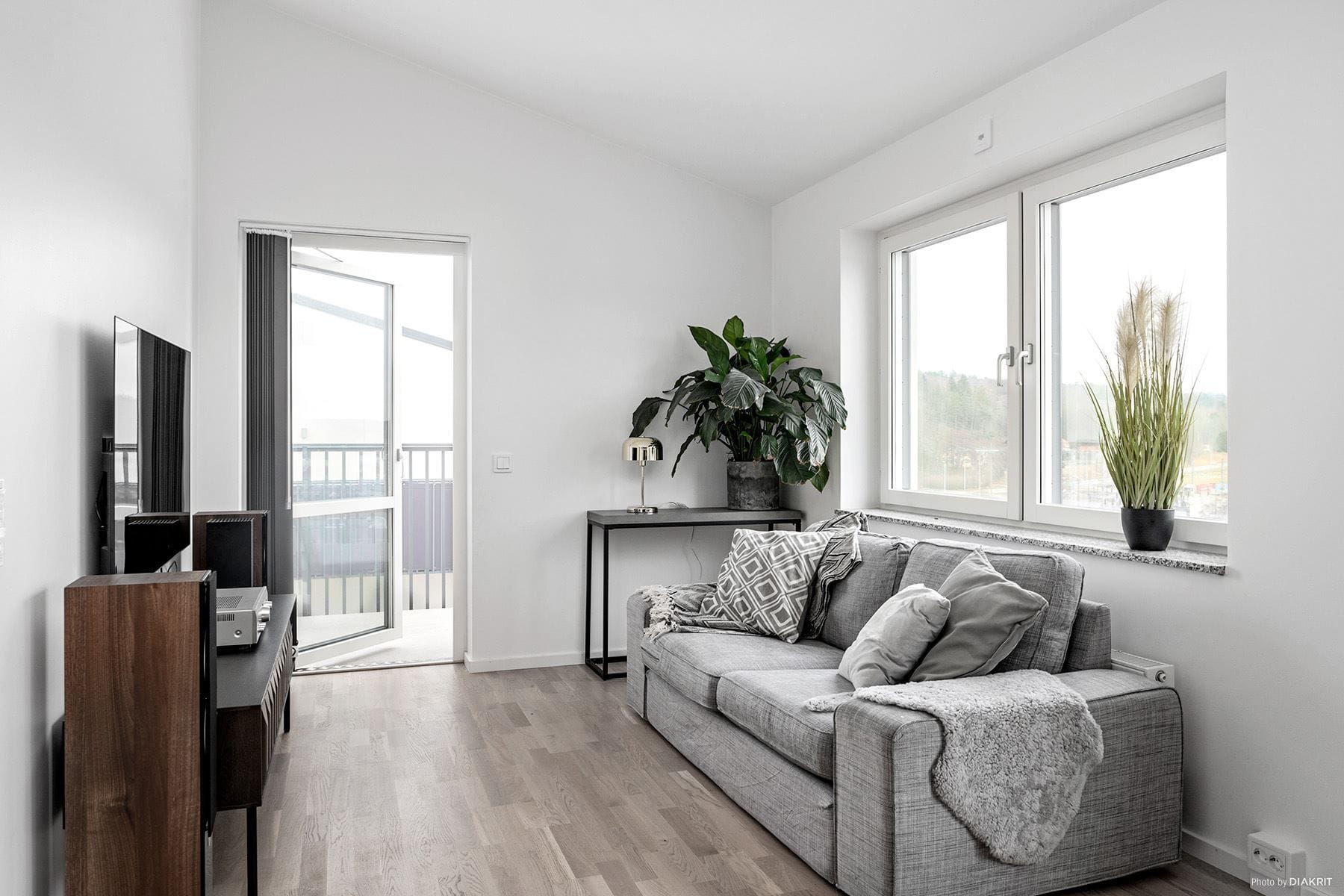 I vardagsrumsdelen i det öppna kök/vardagsrummet ryms soffan.