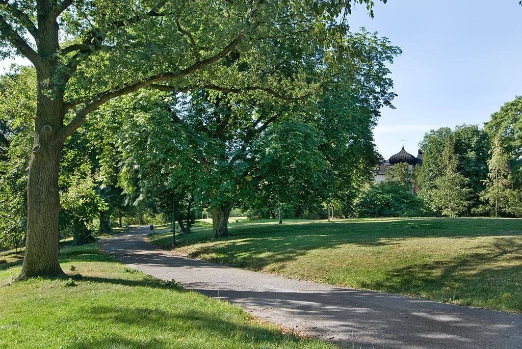 Omgivningar - Kronobergsparken