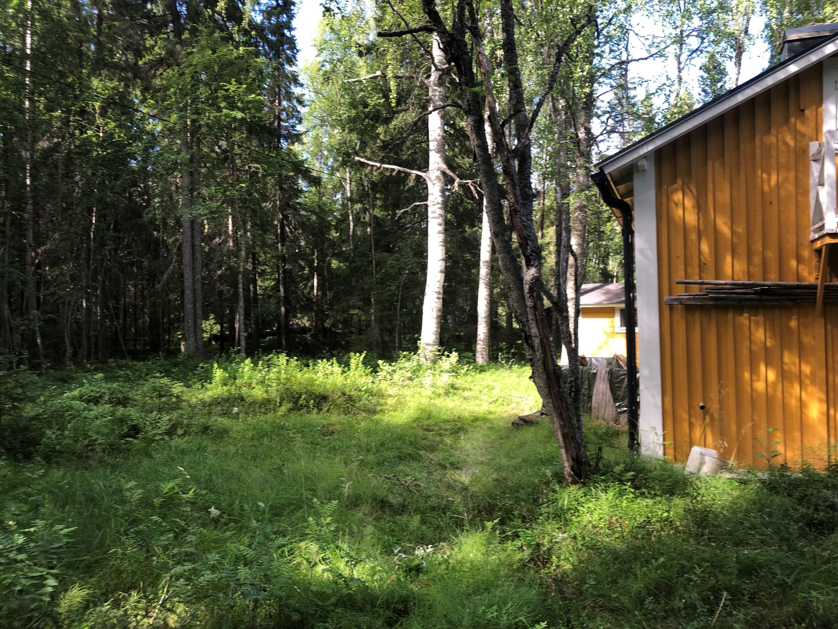 Säljarens bilder