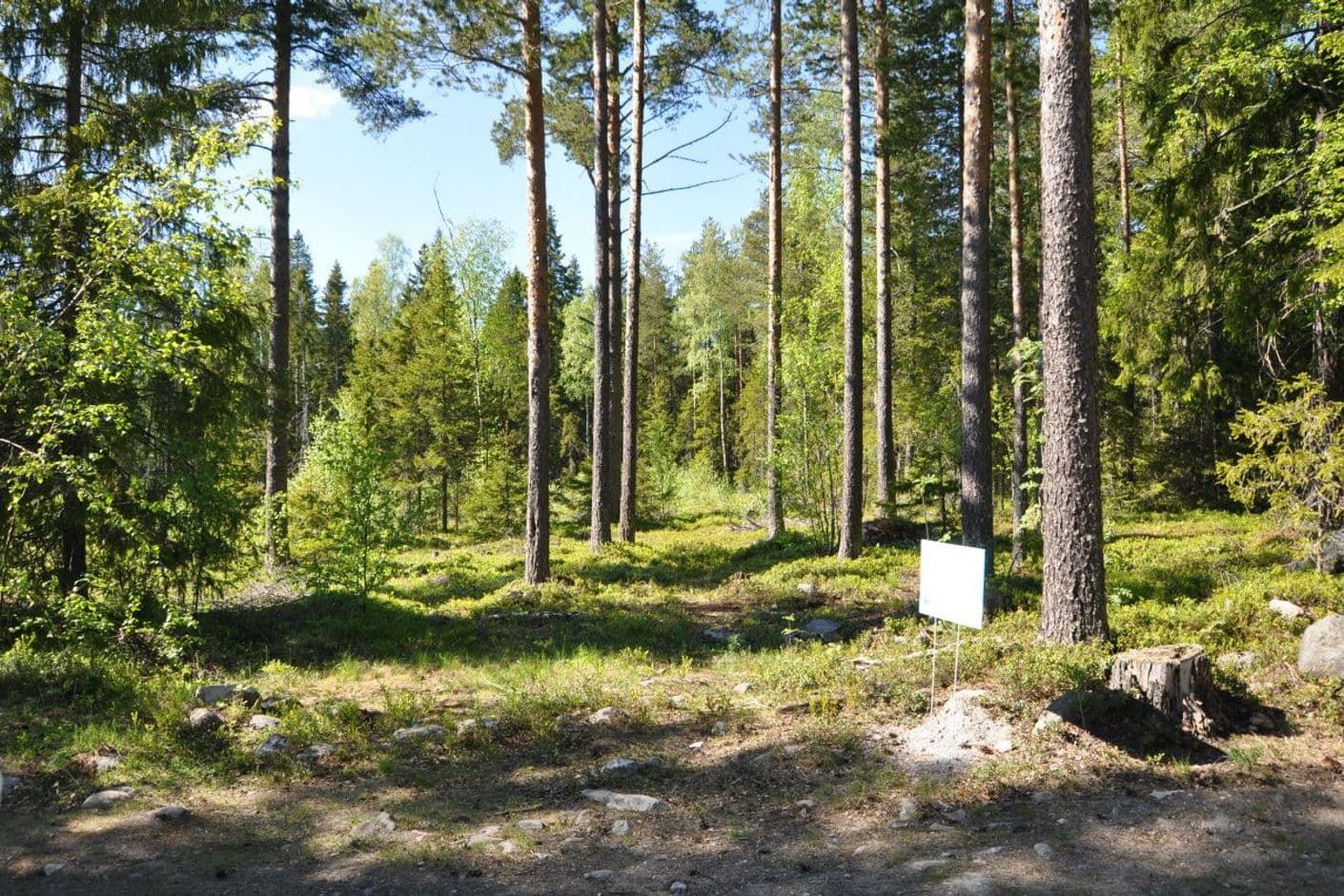 Skanstorpsvägen Skanstorpsvägen