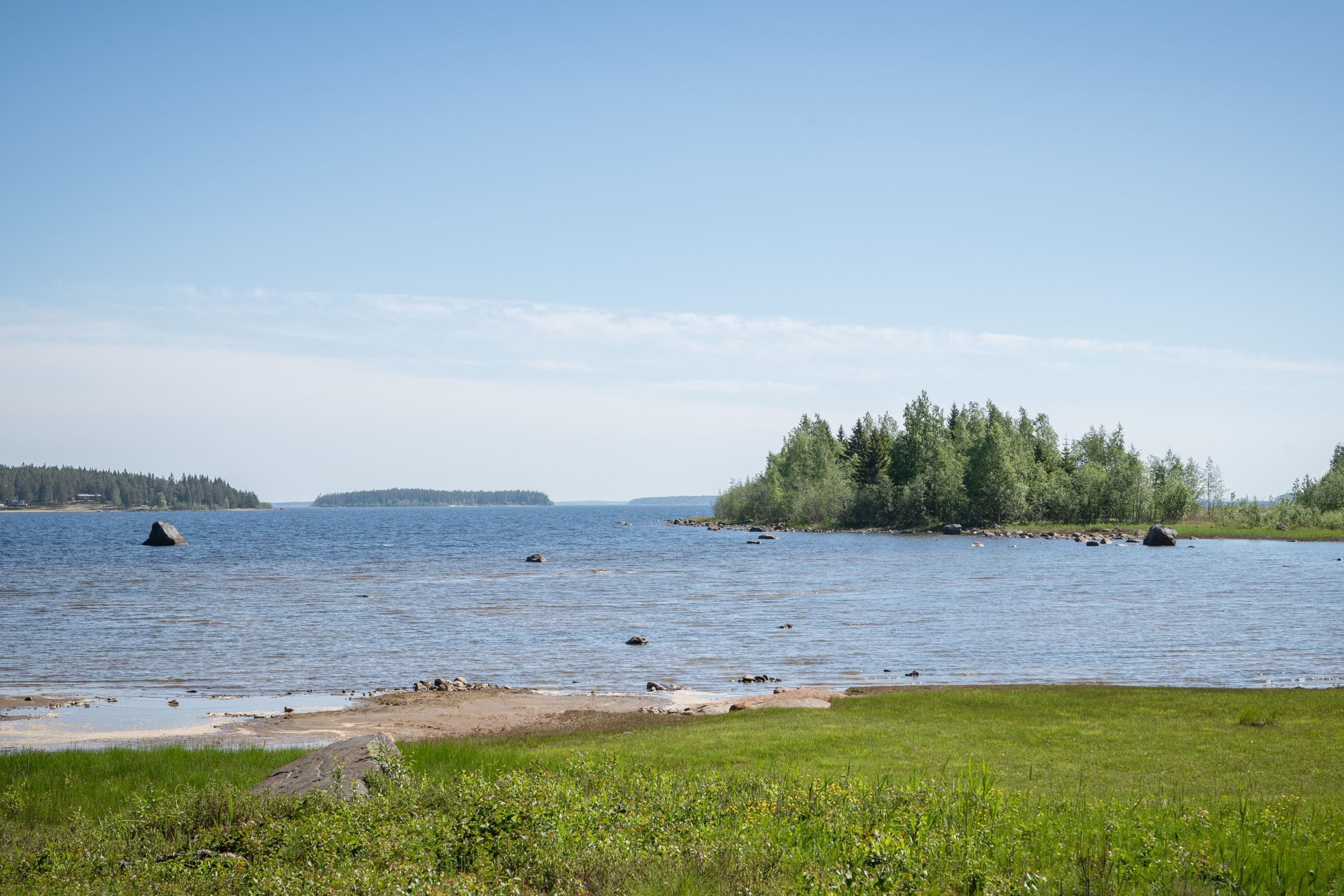 Bildkategori