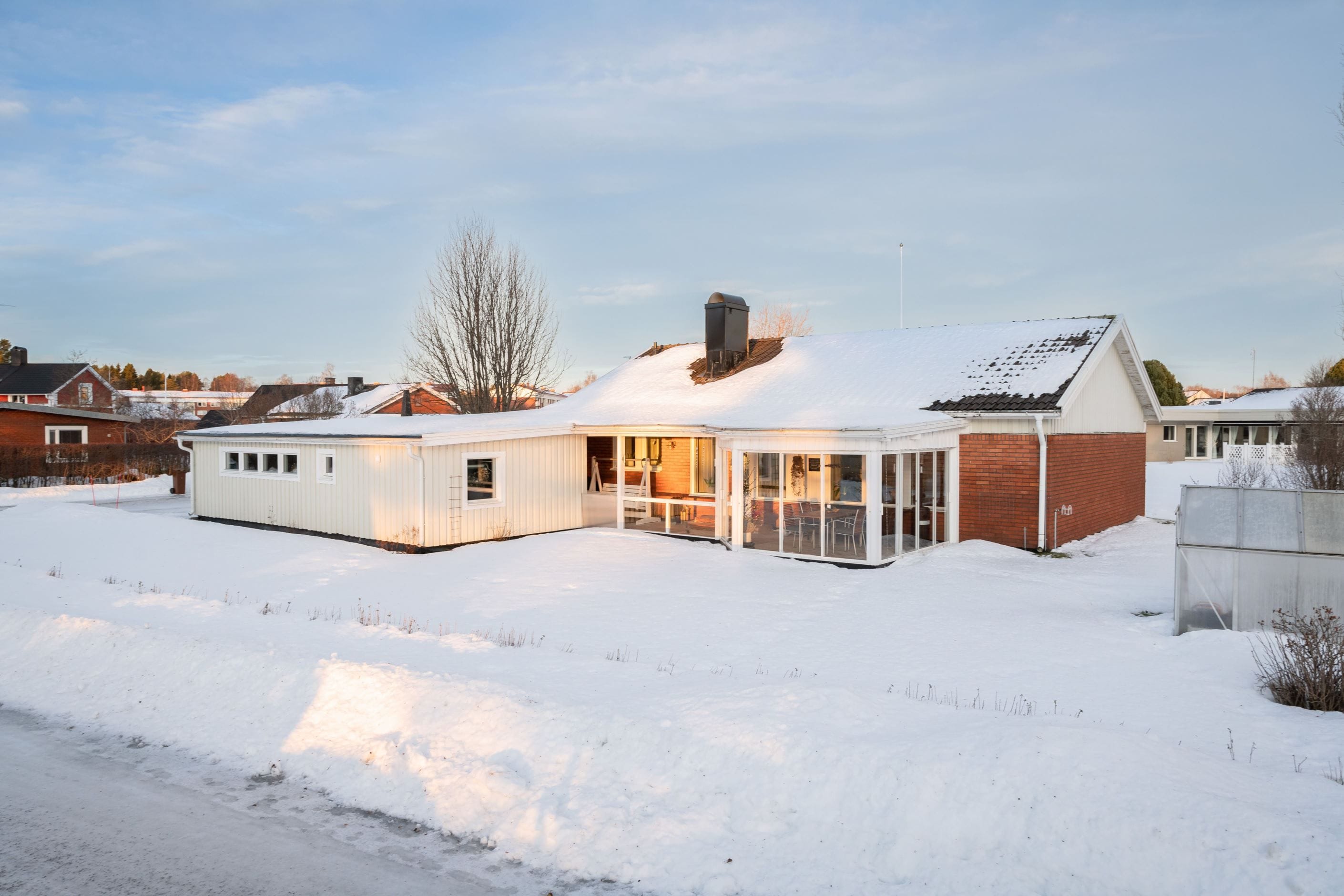 Exteriör