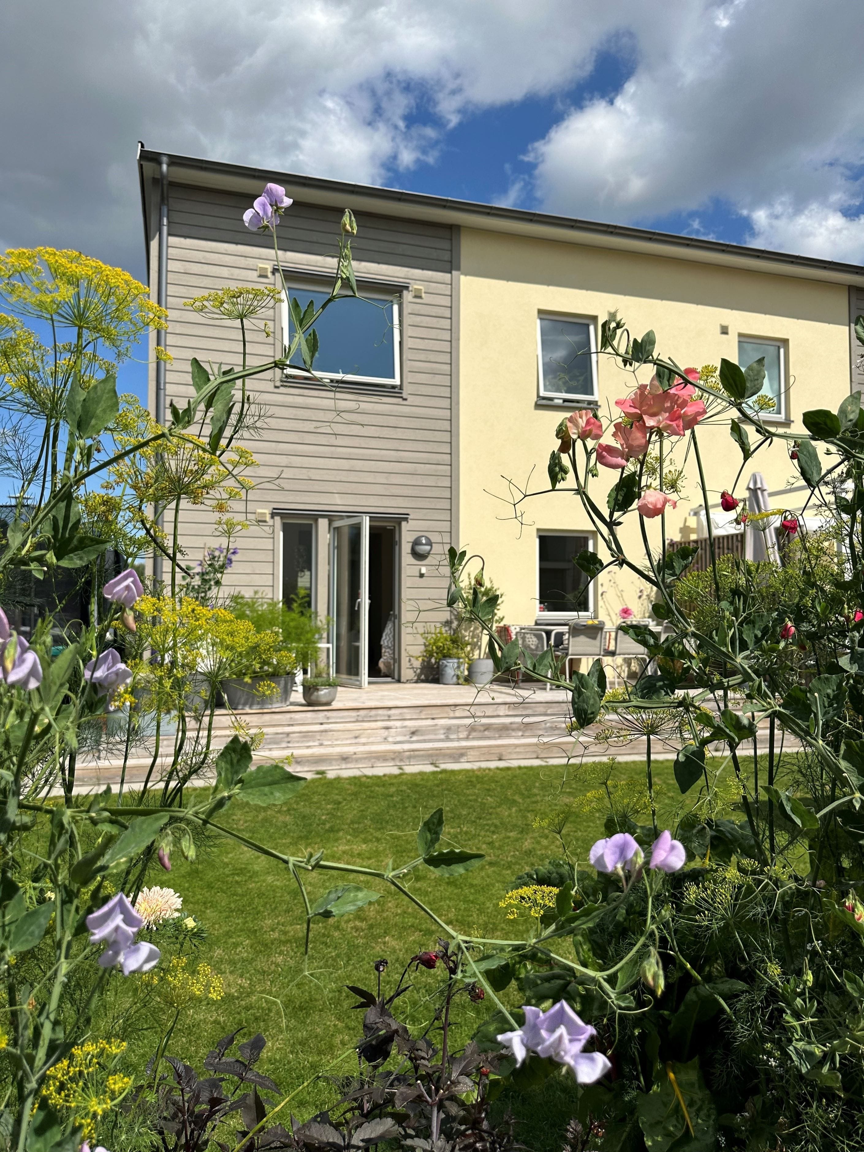 Sommarbild altan och trädgård