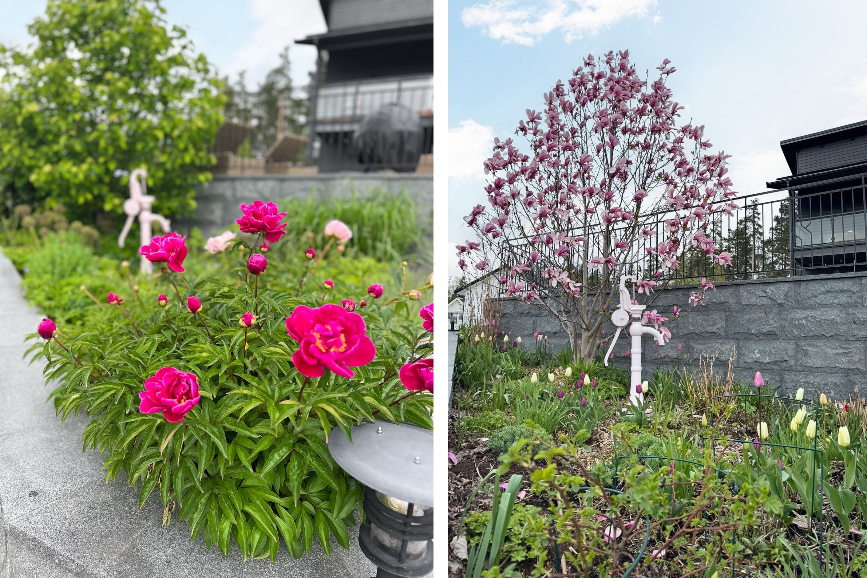 Säljarens bilder