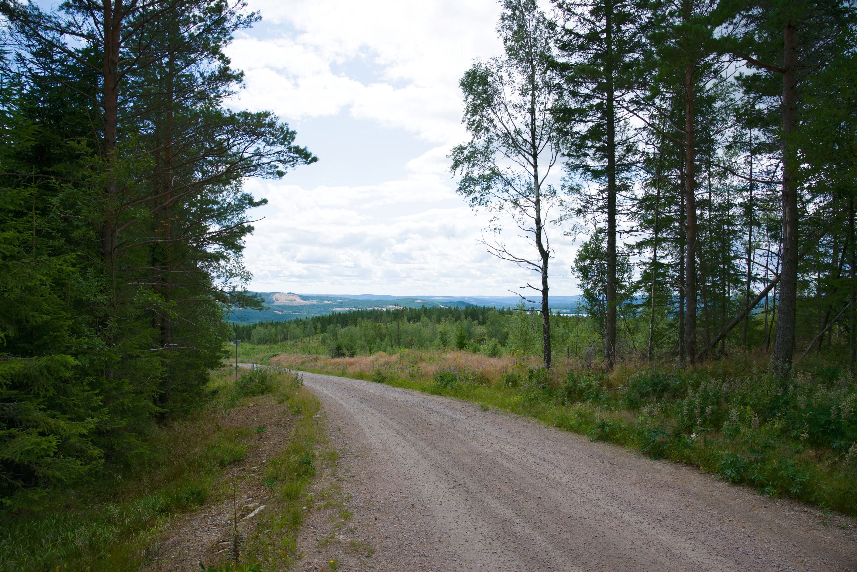 Naturnära omgivning