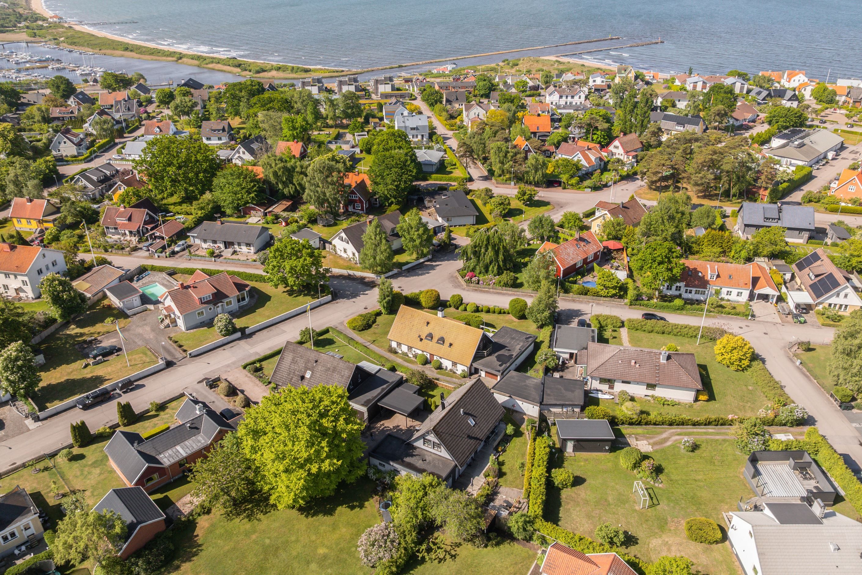 Vy över området