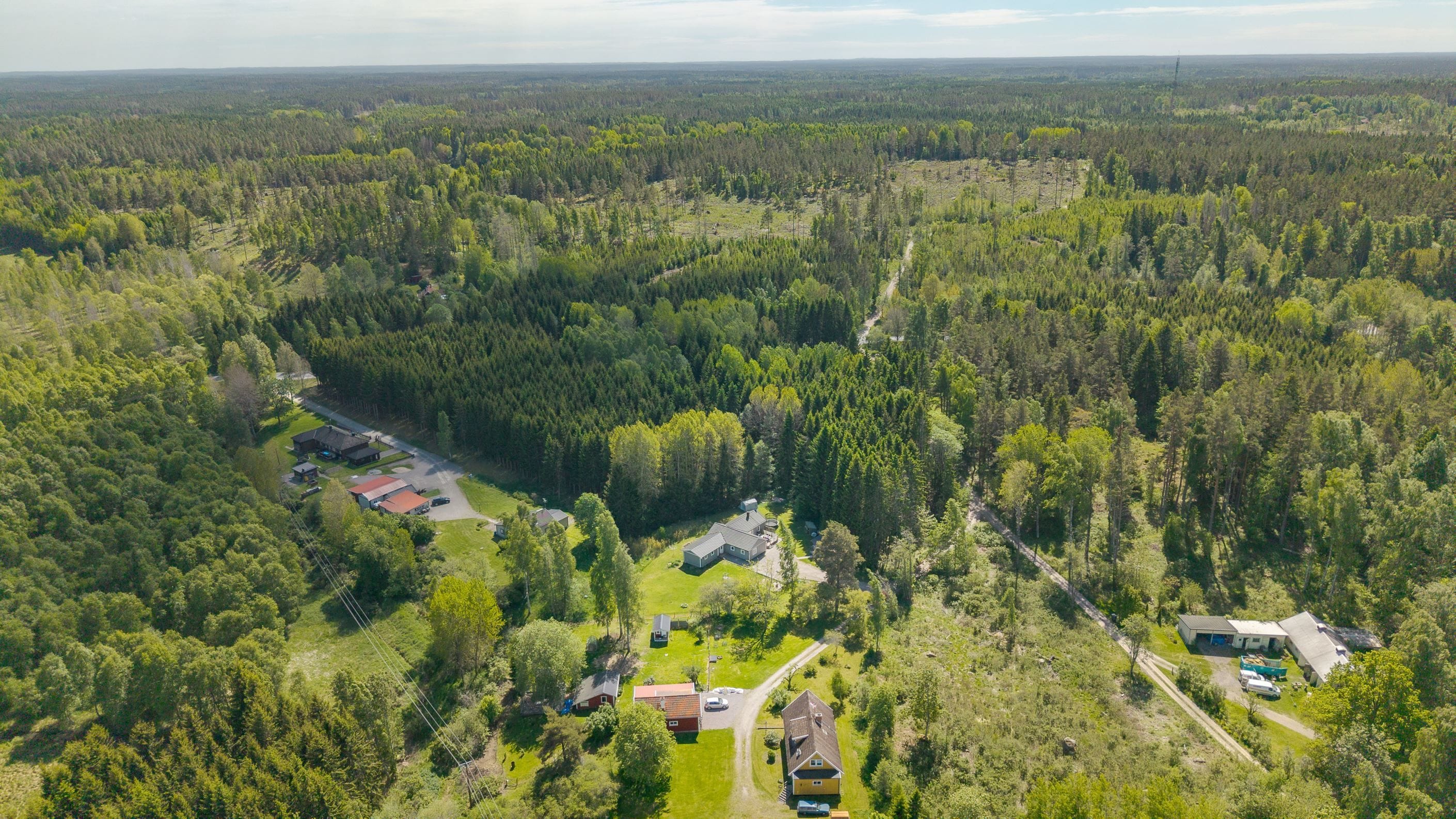 Forsa björkhaga 4