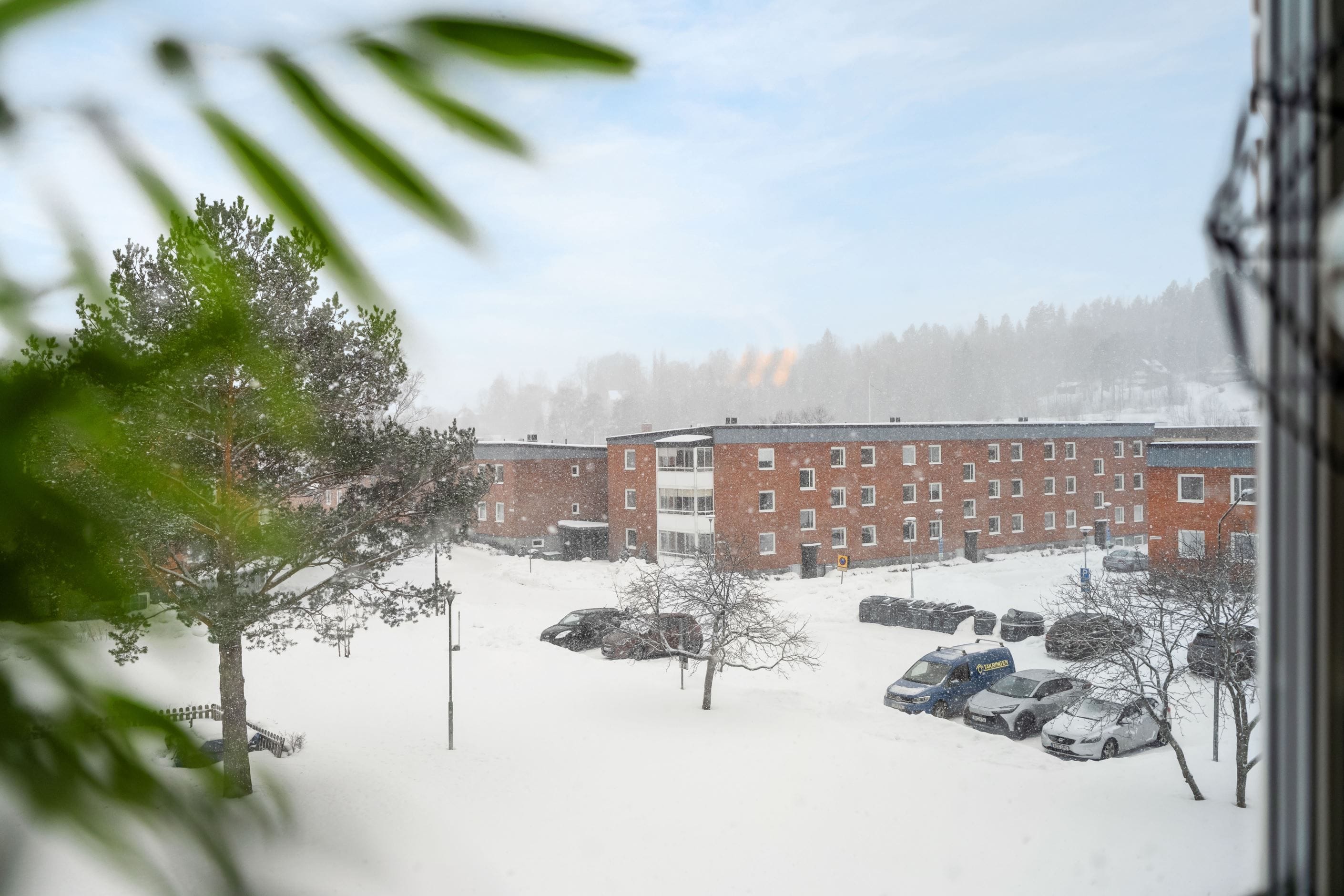 Vy från inglasningen