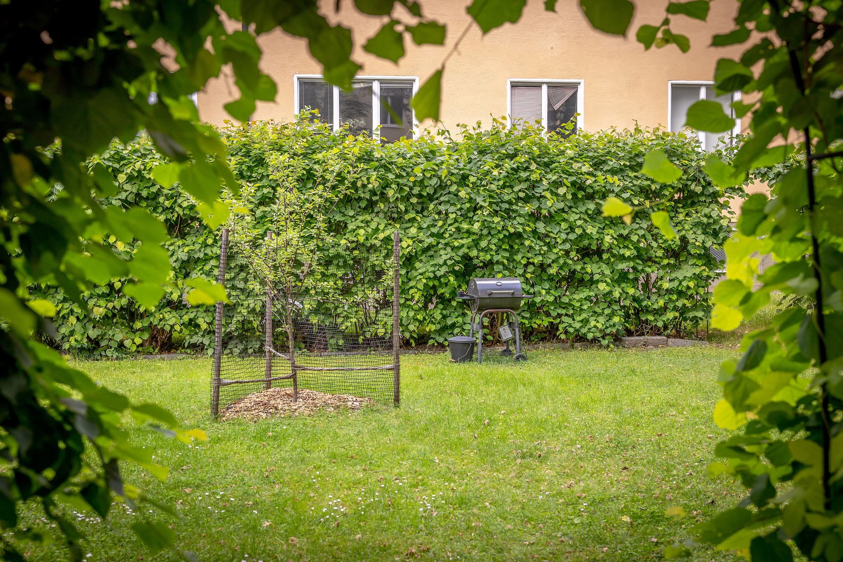 Innergård