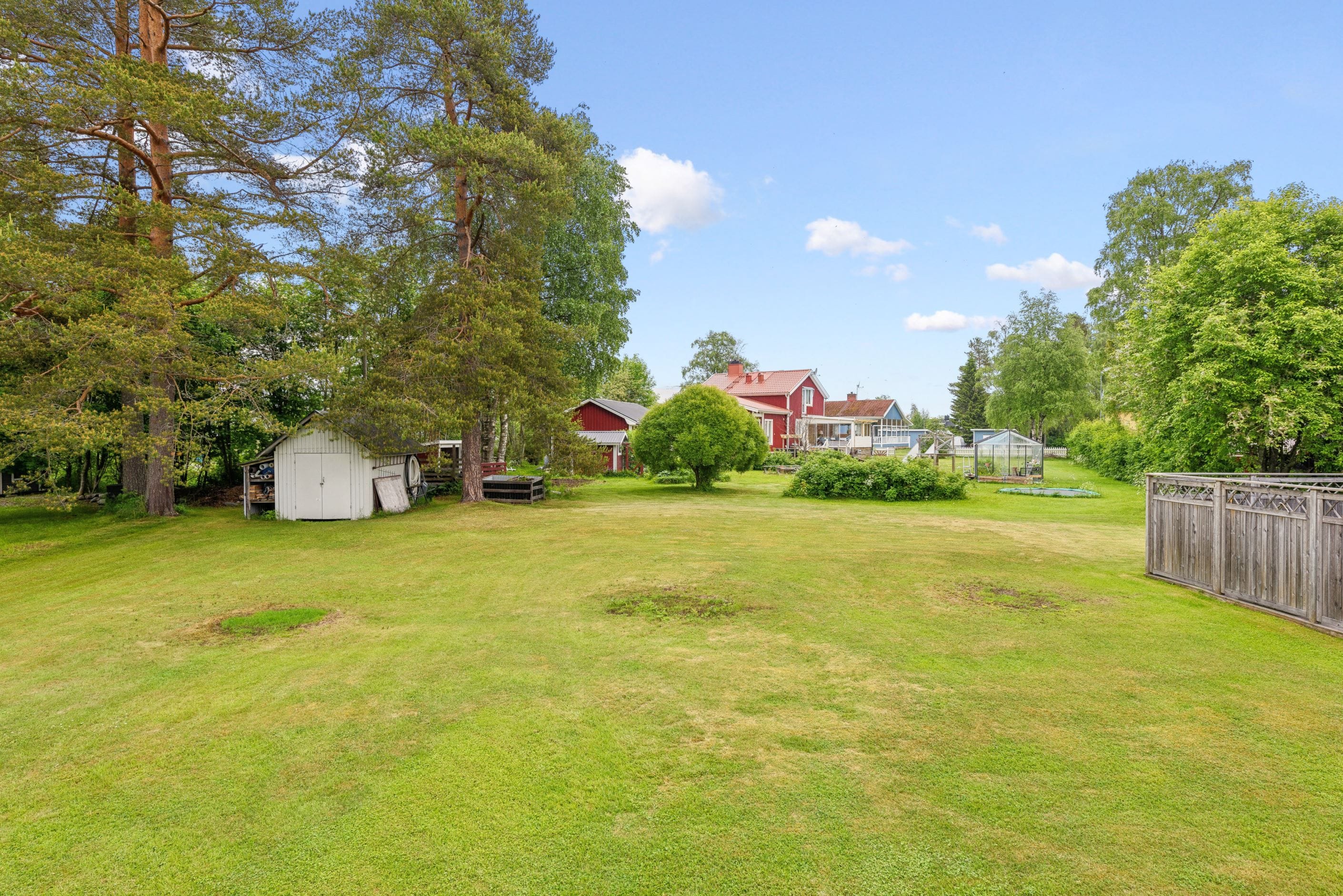 Trädgård