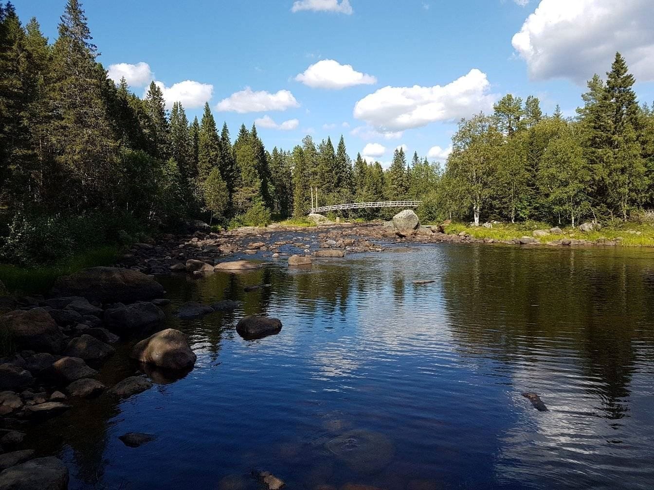 Rickleån med Nettingforsen och bro över till naturreservatet Klubben