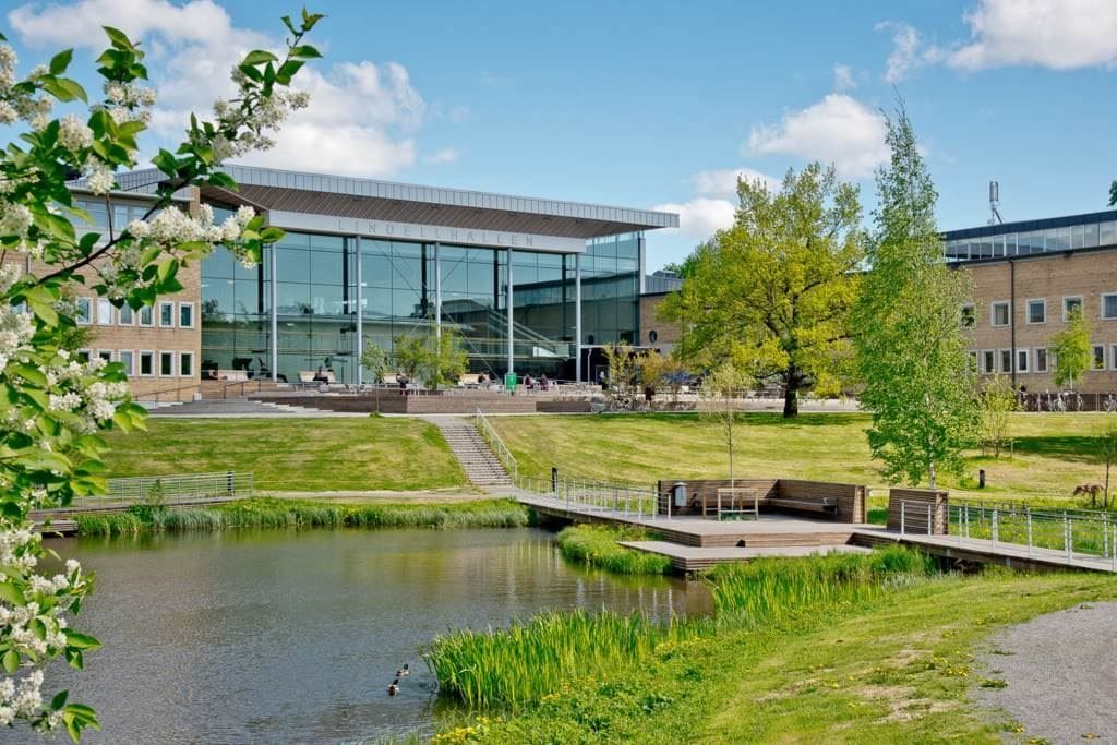 Lågupplöst Områdesbild Universitet