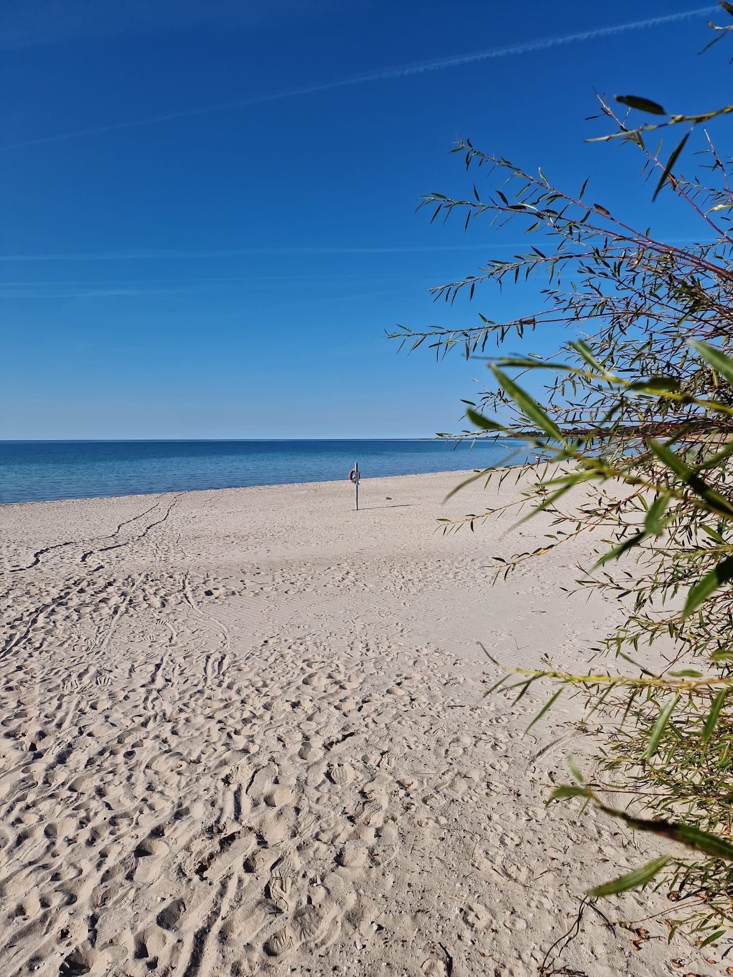 Tofta Strand
