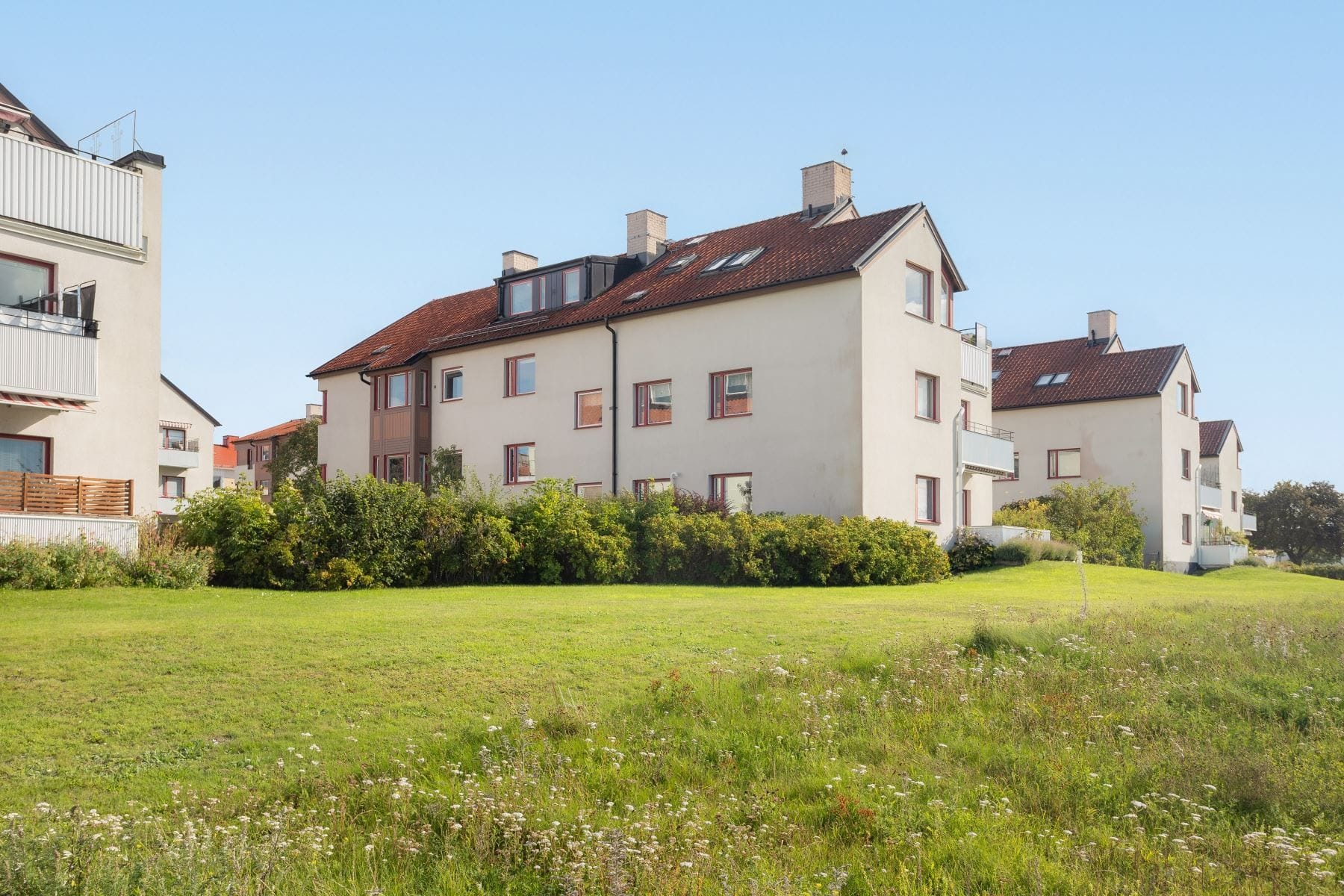 Exteriör