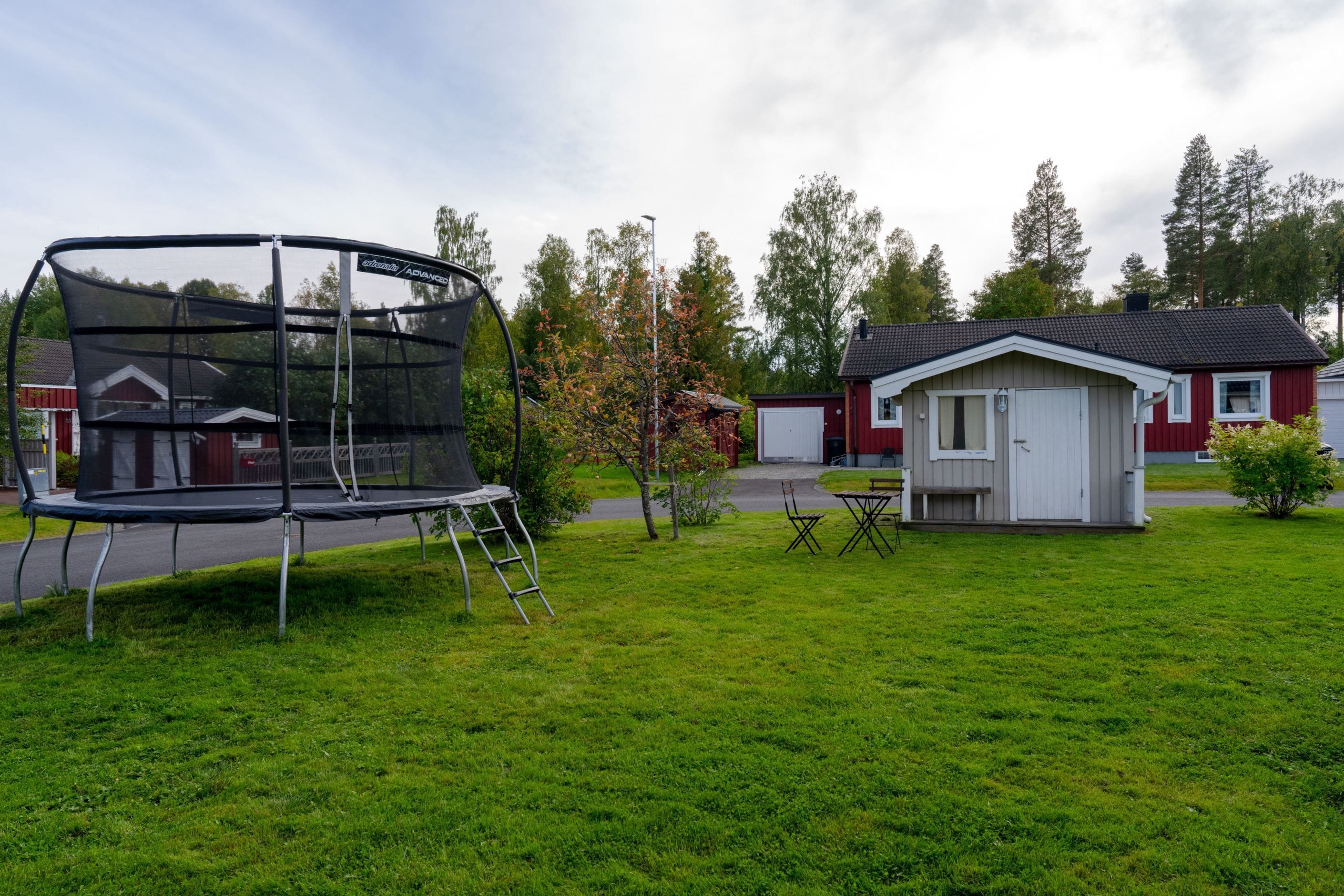 Exteriör