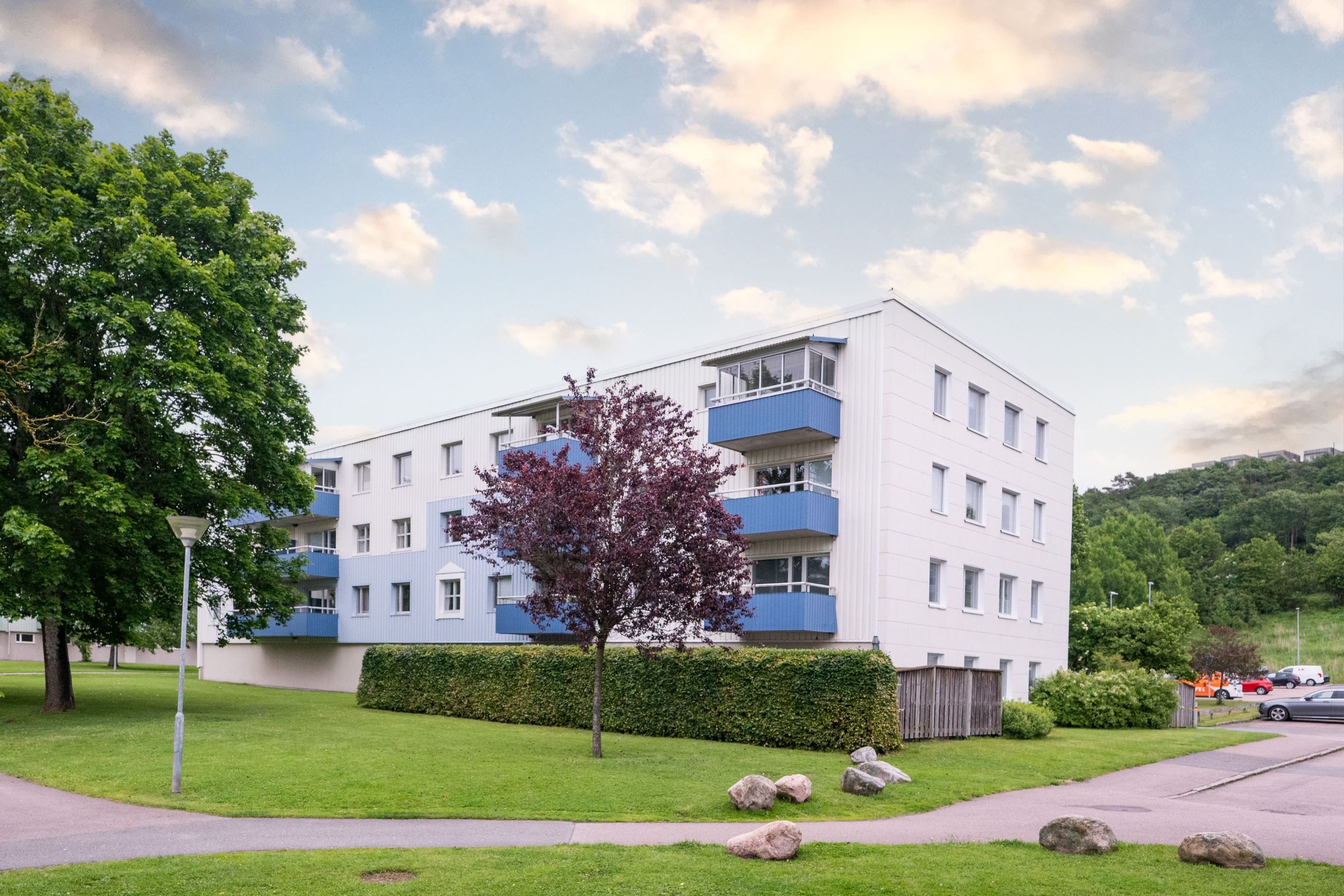 Exteriör
