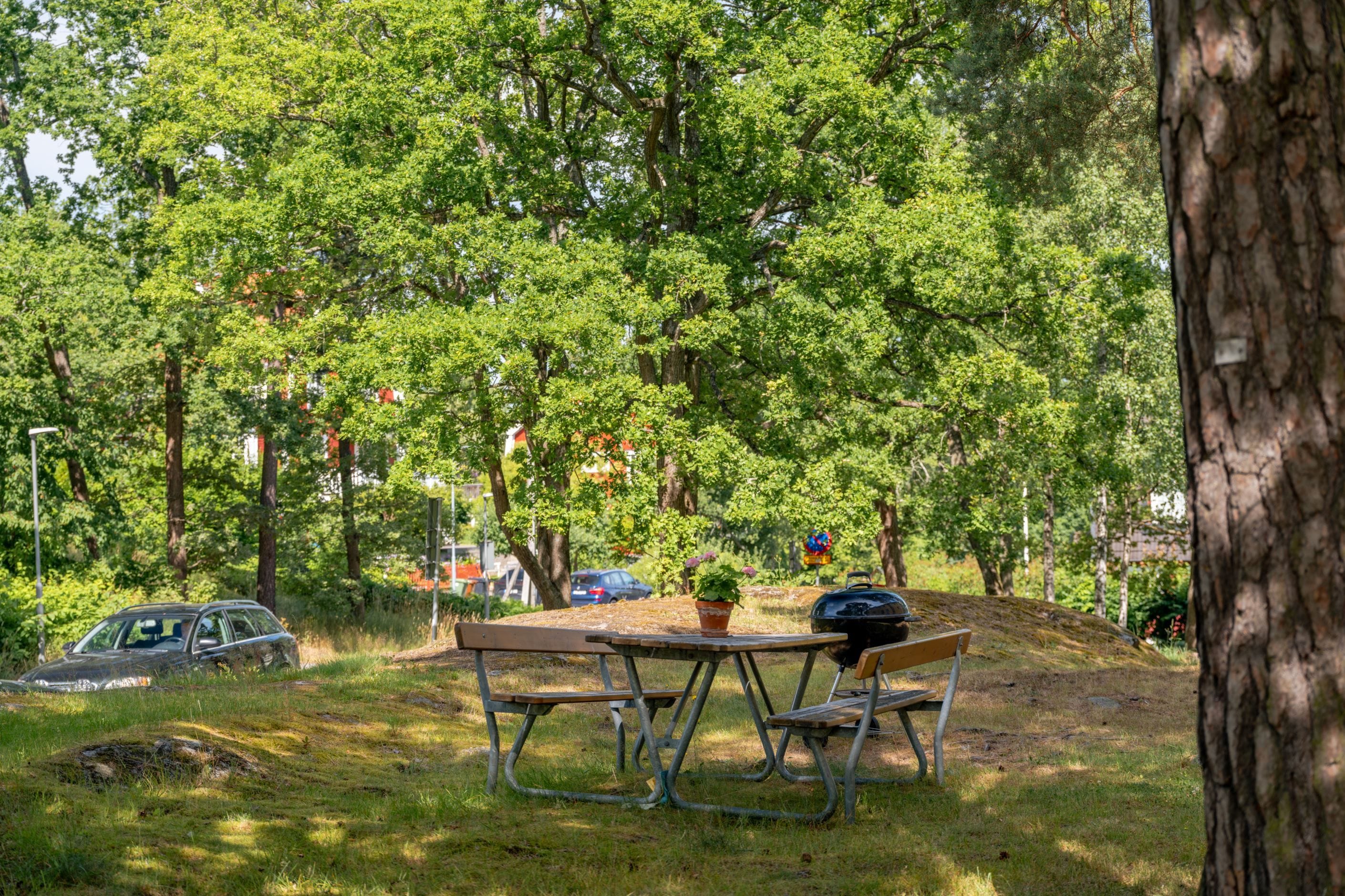 Föreningens gemensamma trädgård