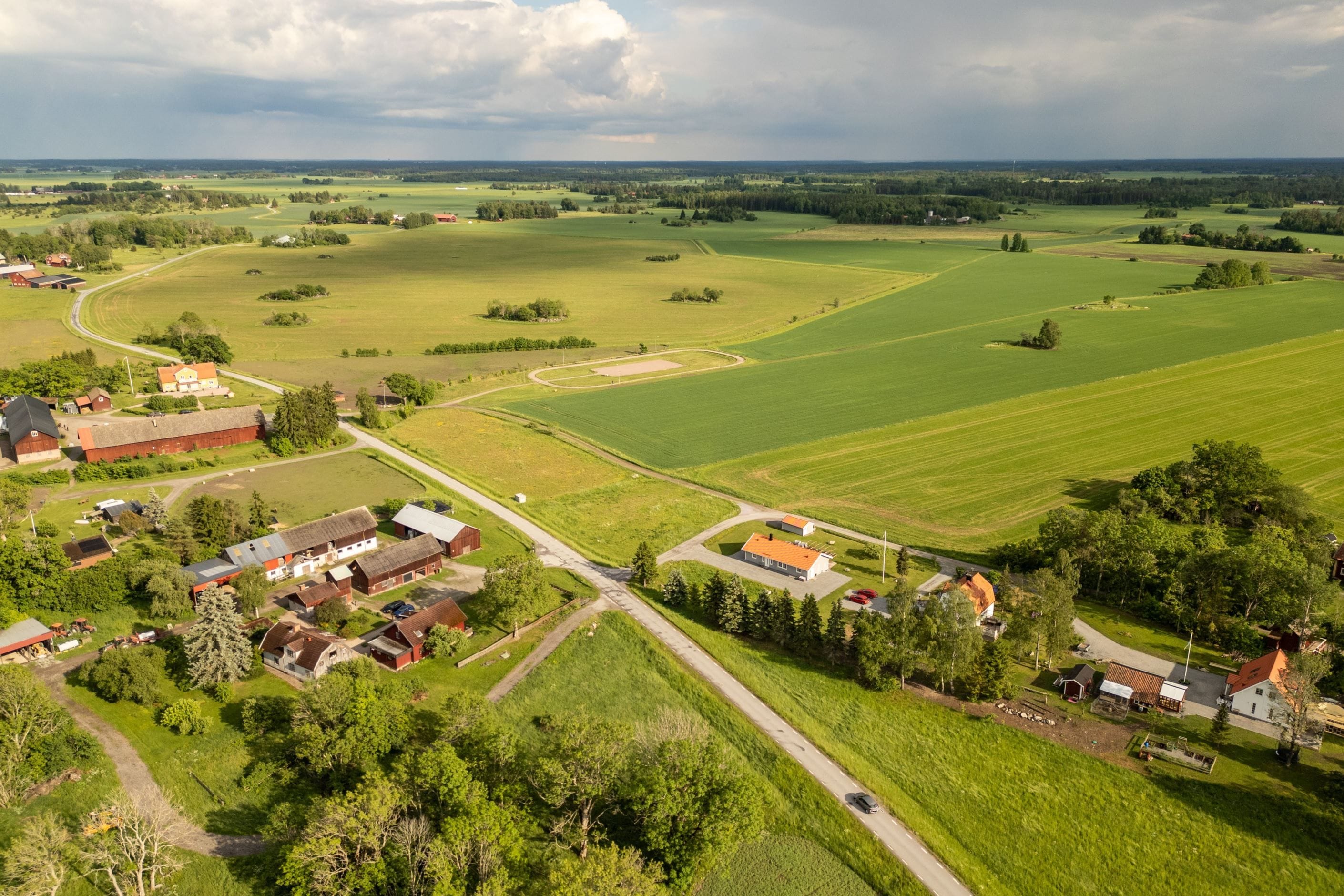 Bildkategori