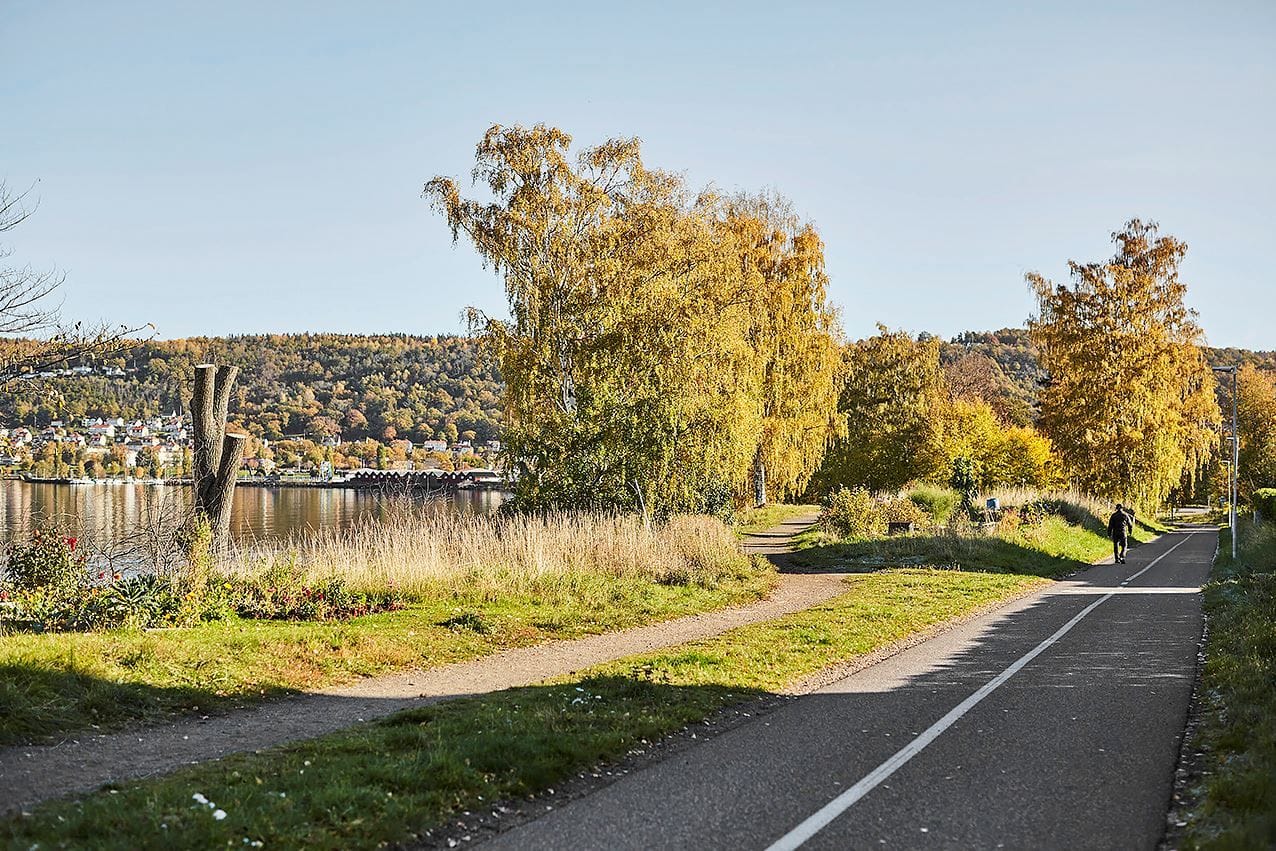Ta dig med cykel till Jönköping eller Huskvarna utmed Vätterns cykelbana/strand