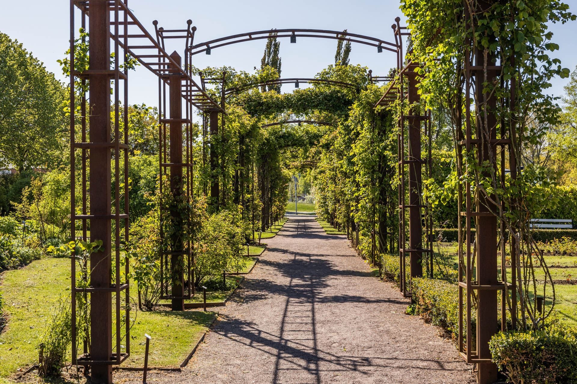 Rosenlunds Rosarium på nära avstånd