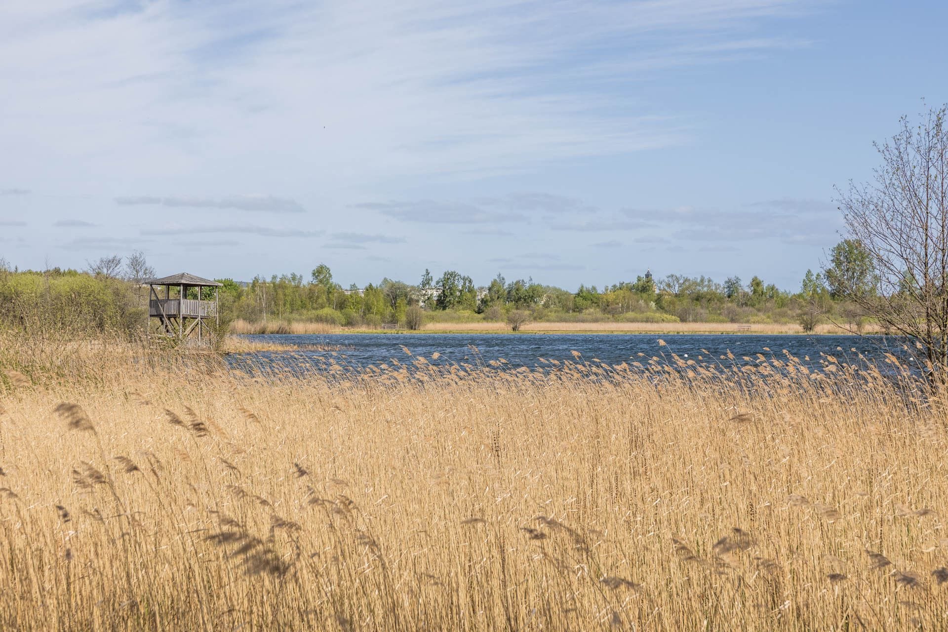 Rocksjön runt på nära avstånd via Liljeholmsparken