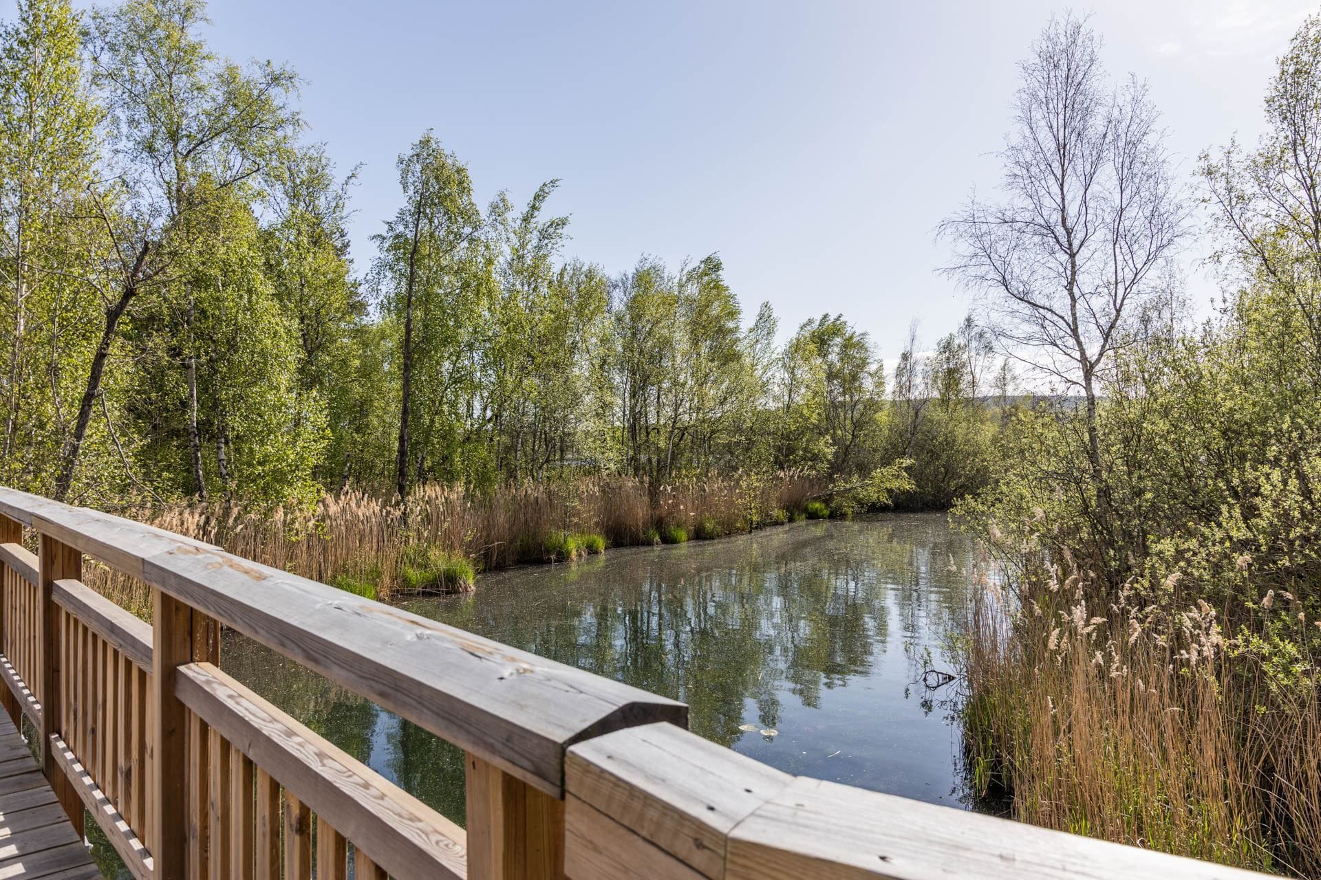 Rocksjön runt på nära avstånd via Liljeholmsparken