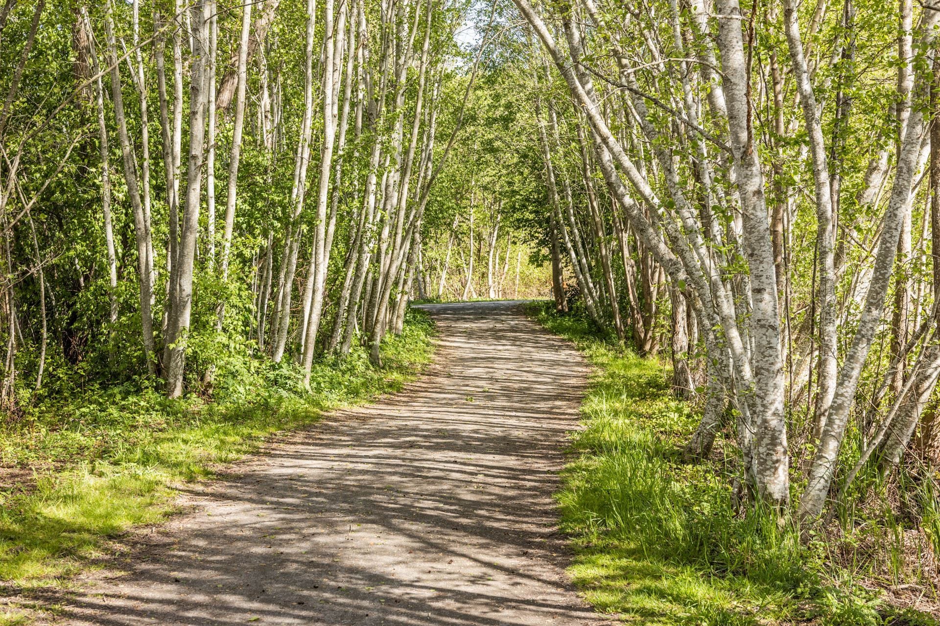 Rocksjön runt på nära avstånd via Liljeholmsparken