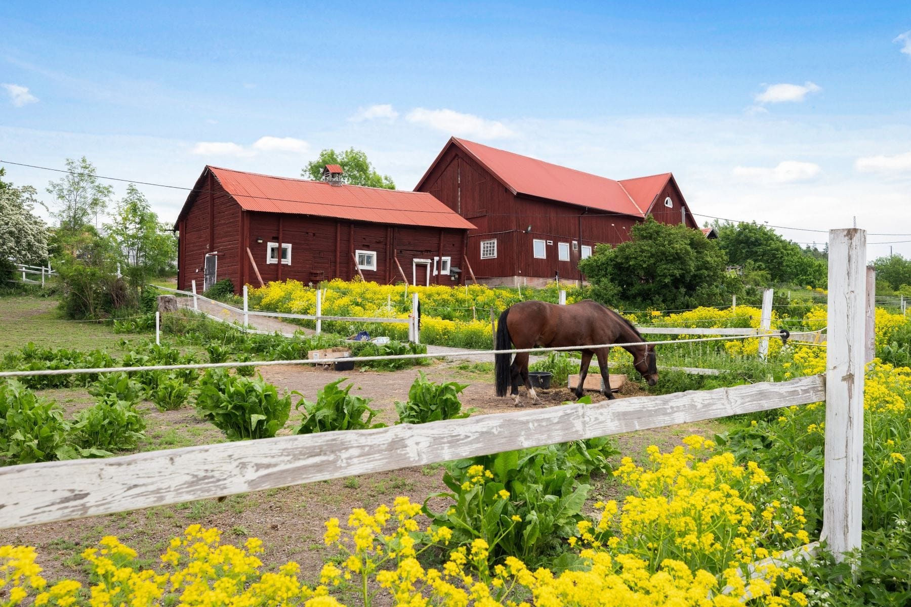 Ursvik