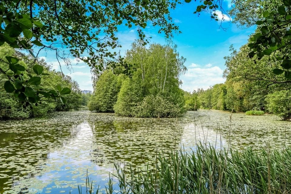 Råstasjön