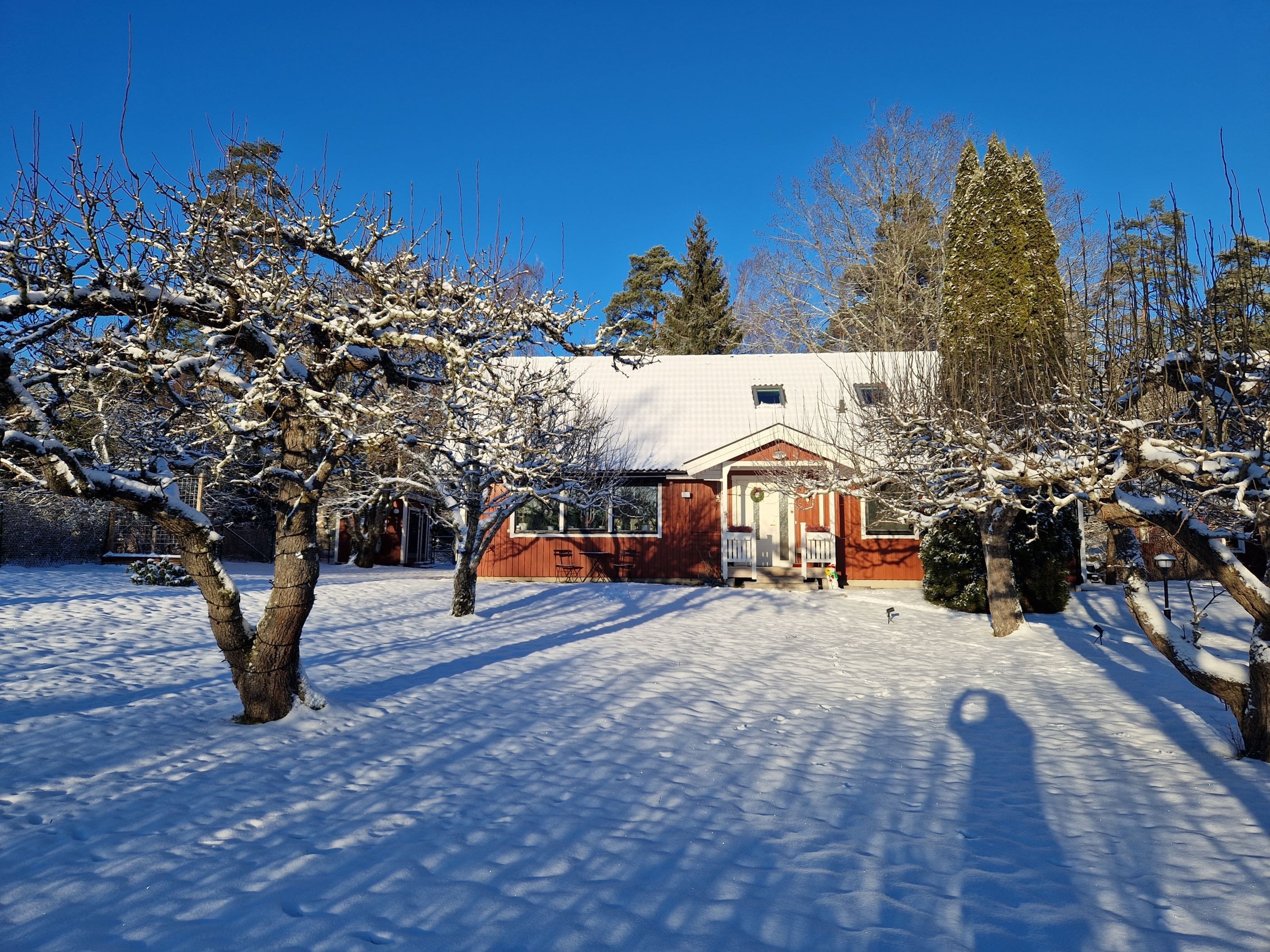 Säljarens vinterbild
