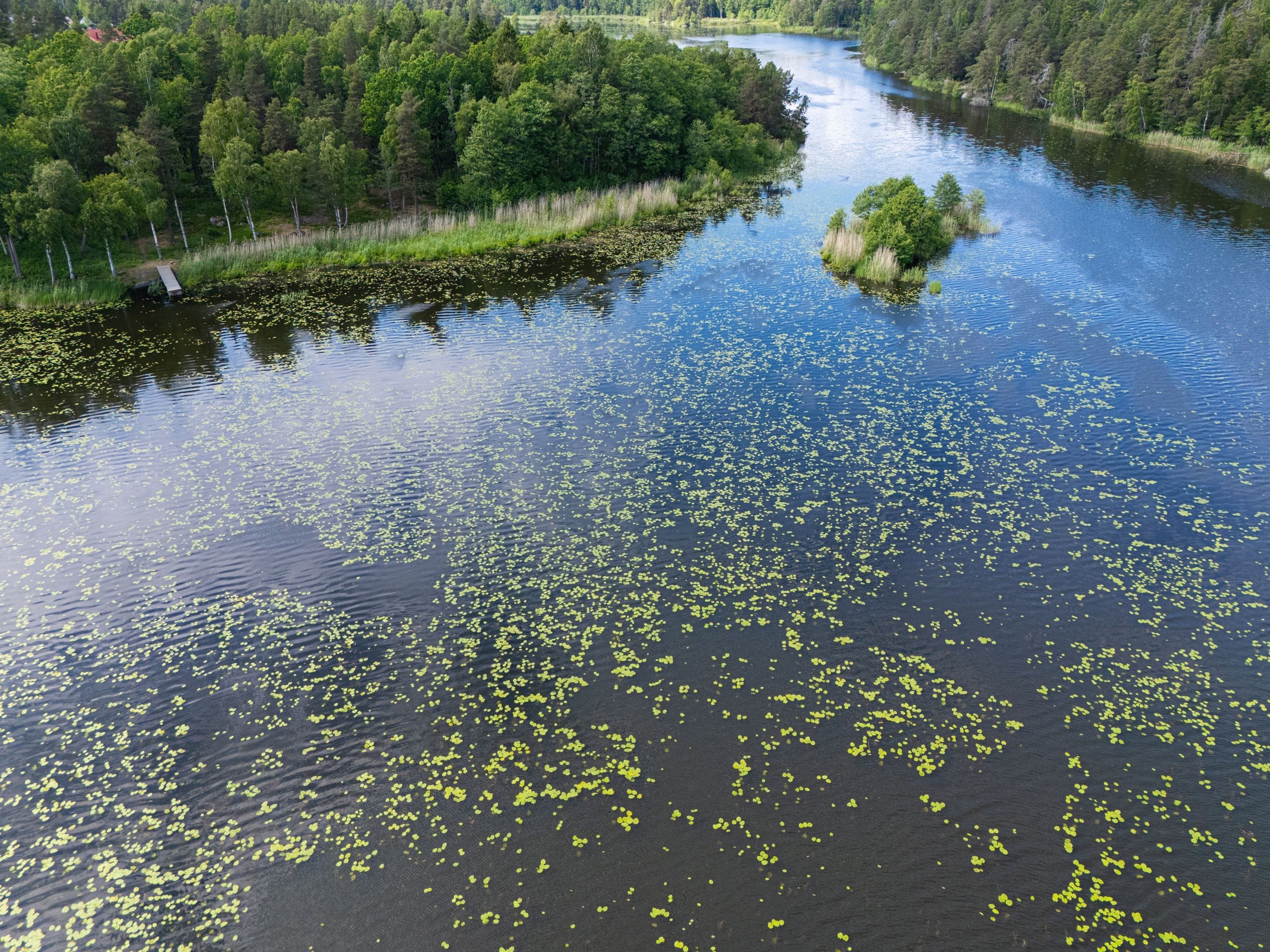 Öringesjön