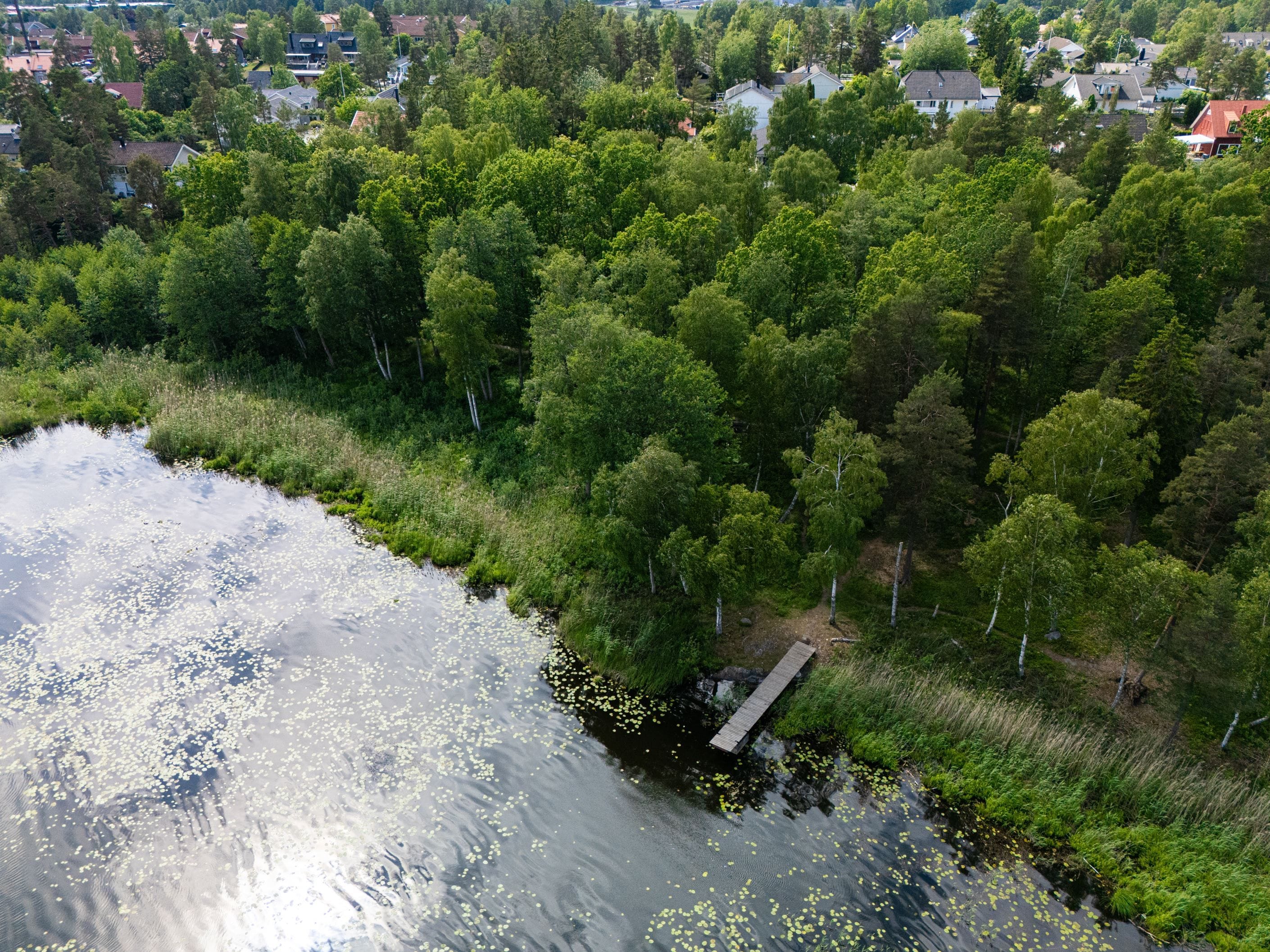 Öringesjön, med fastigheten i bakgrunden