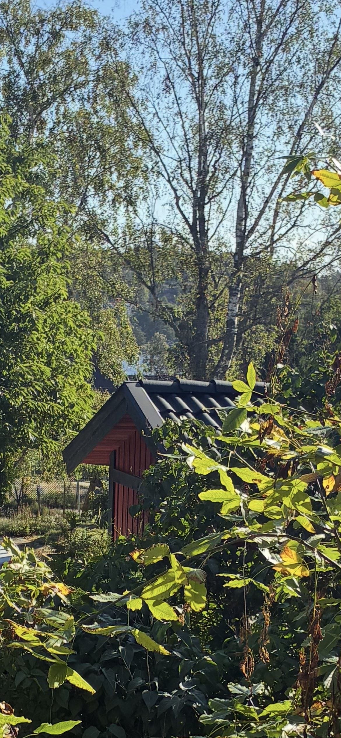 Lummig omgivning