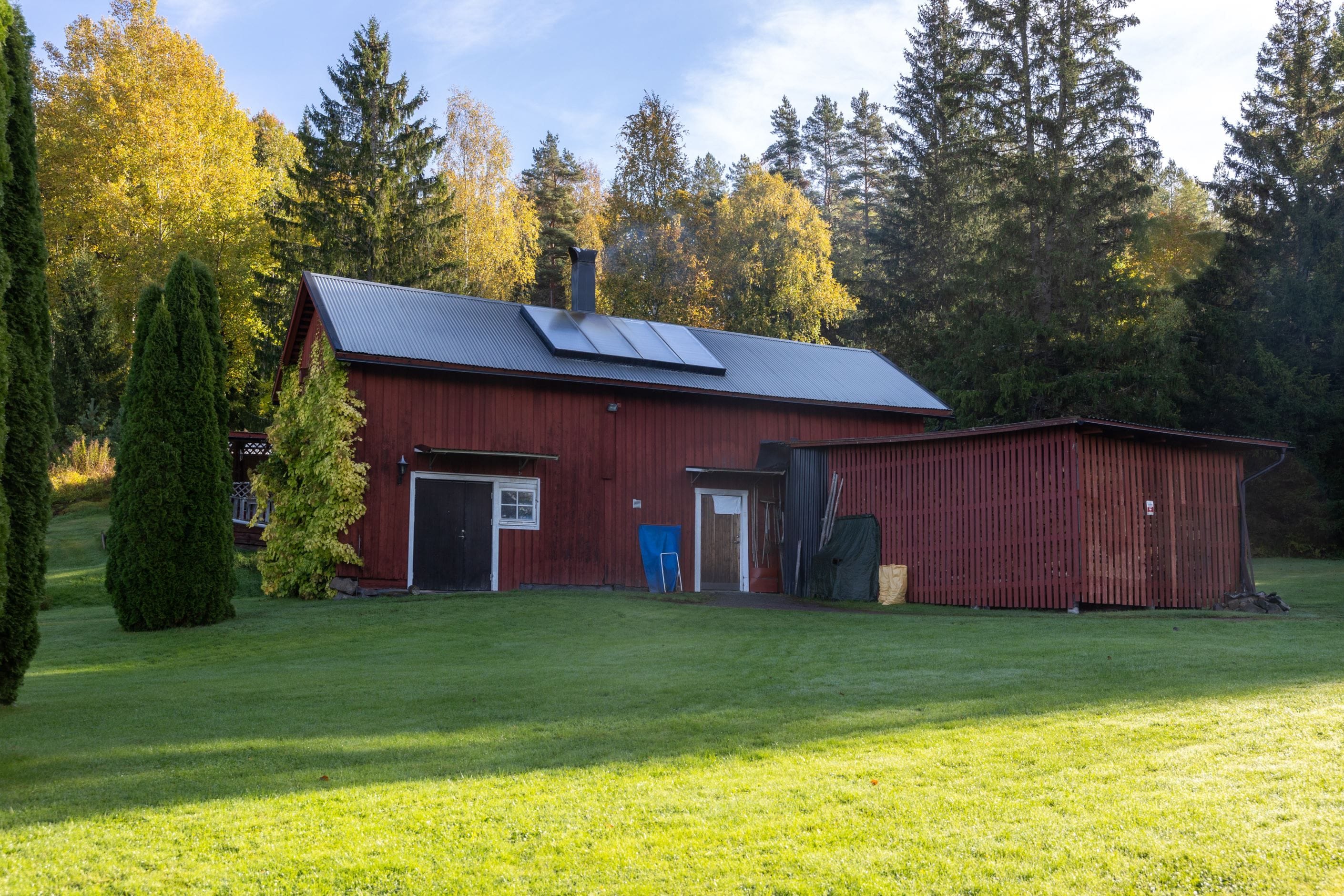 Exteriör