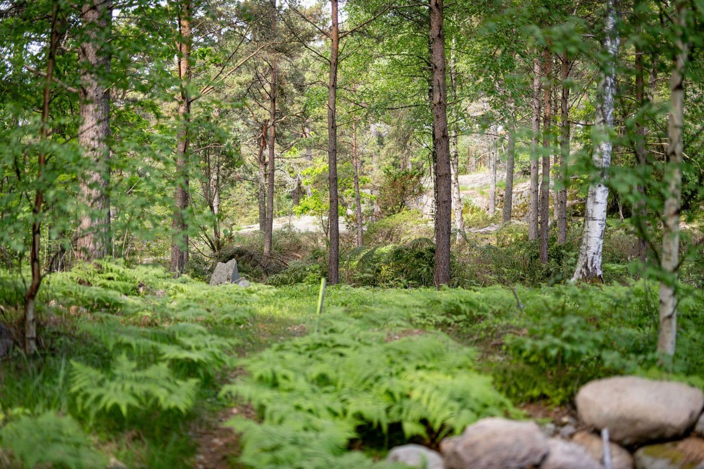 Galtö Södra Galtö Södra