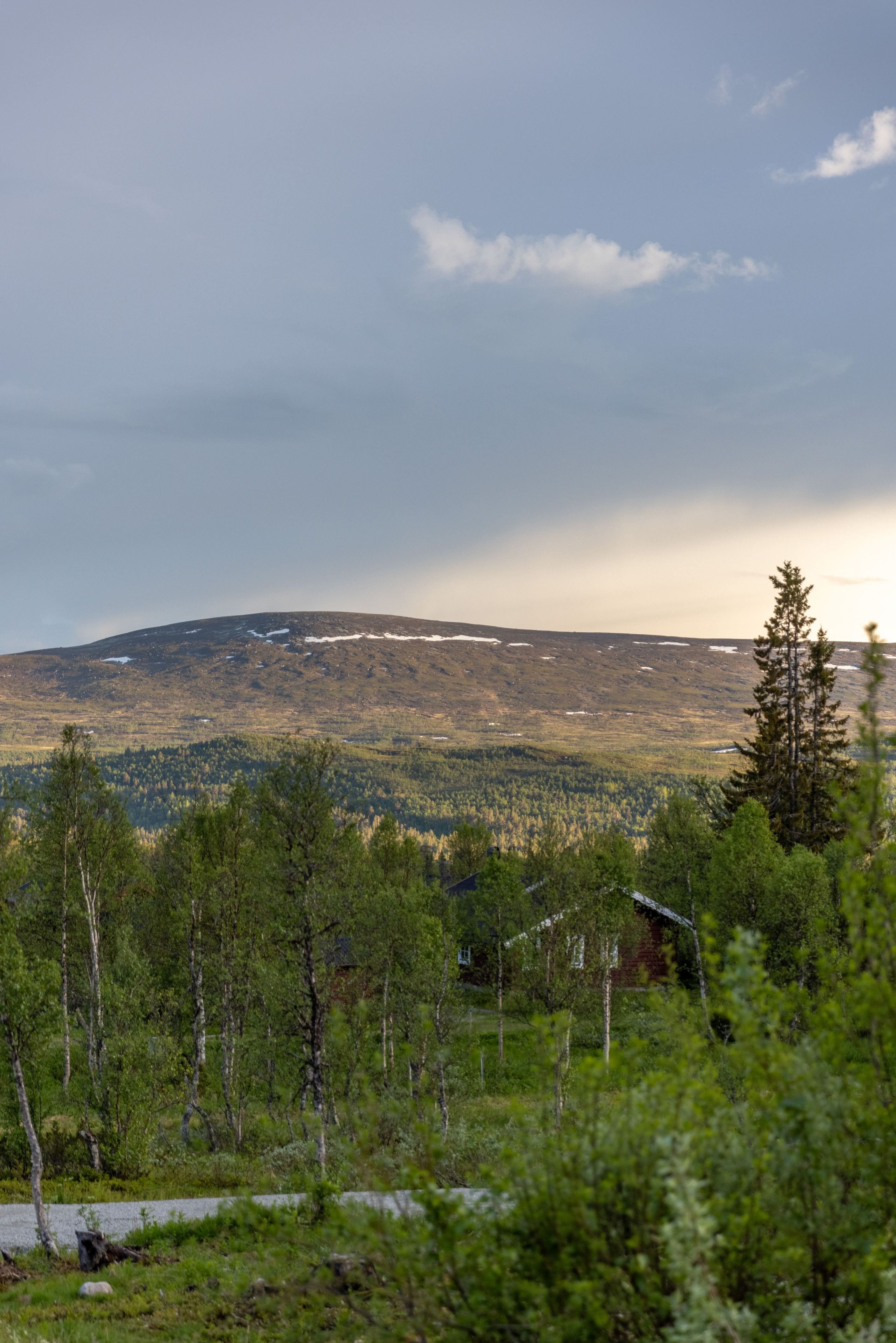 Bildkategori