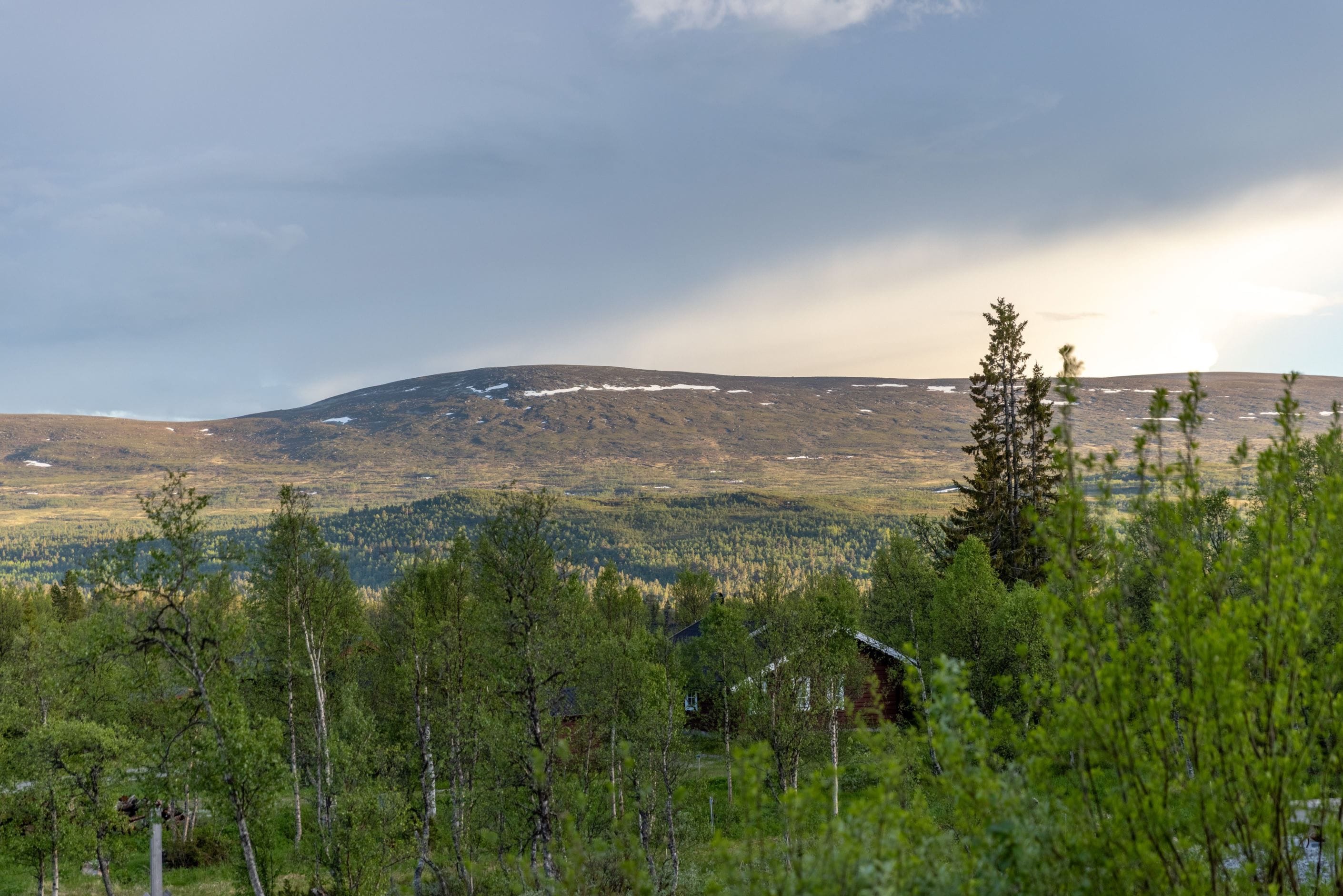Bildkategori