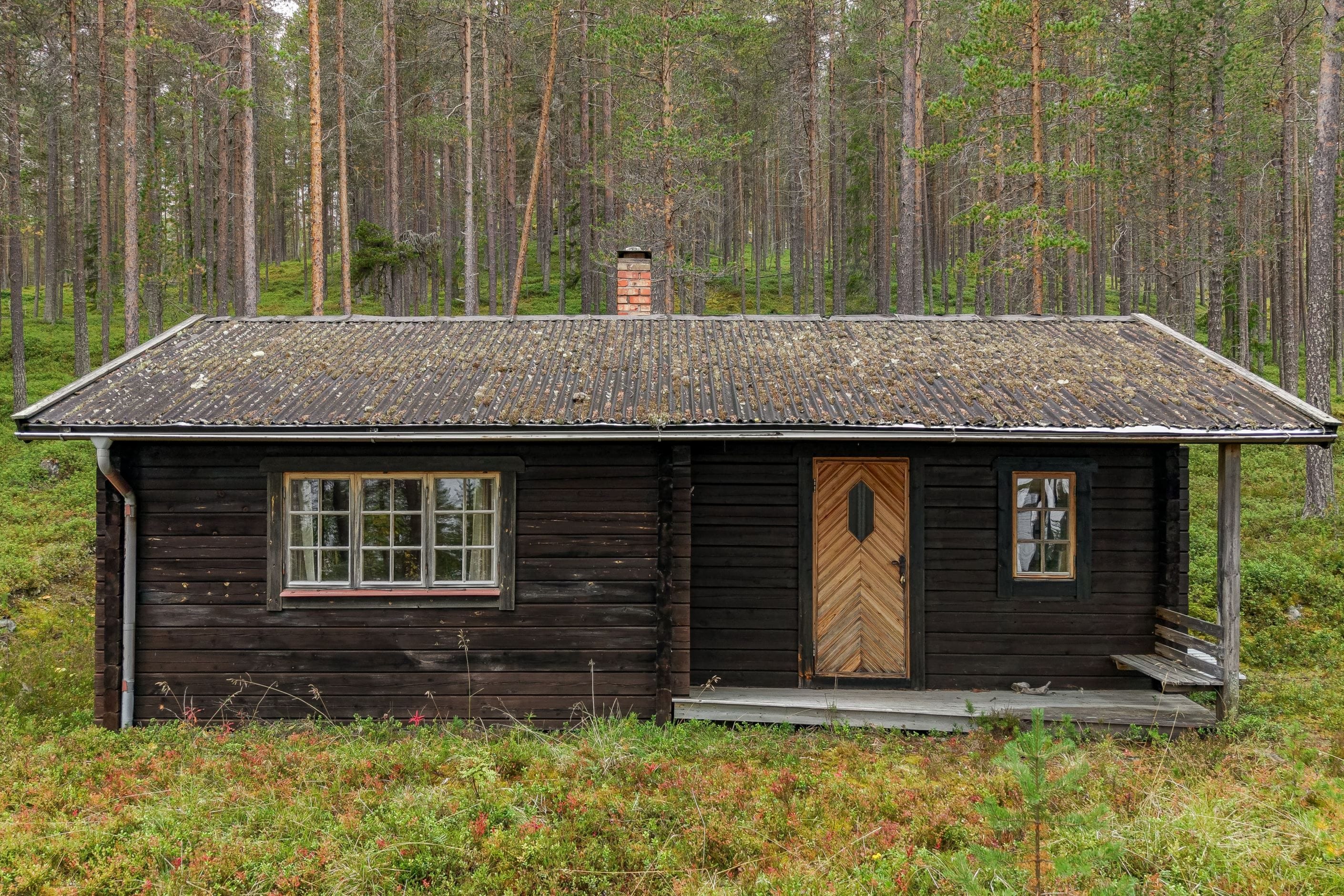 Bildkategori