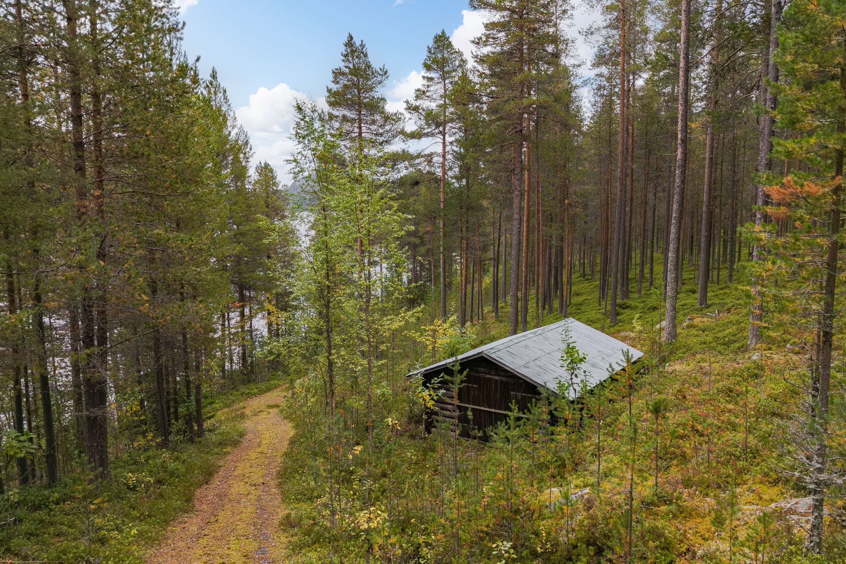 Bildkategori