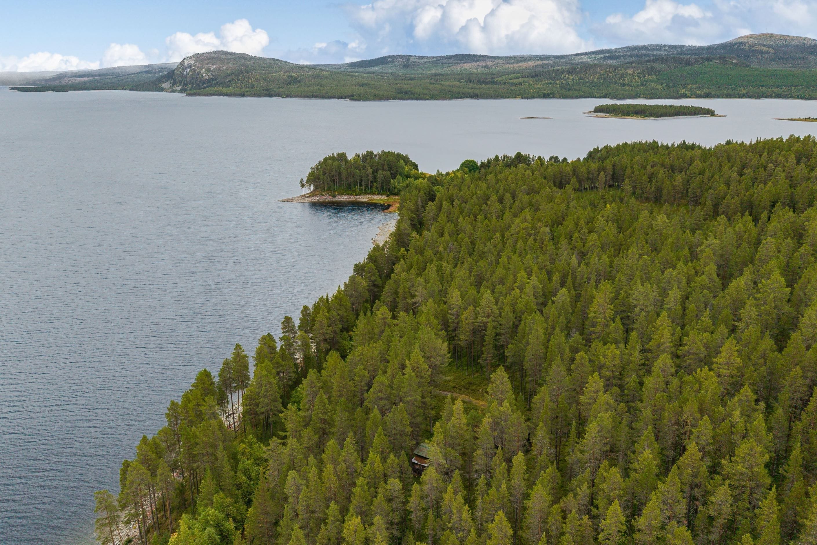 Bildkategori