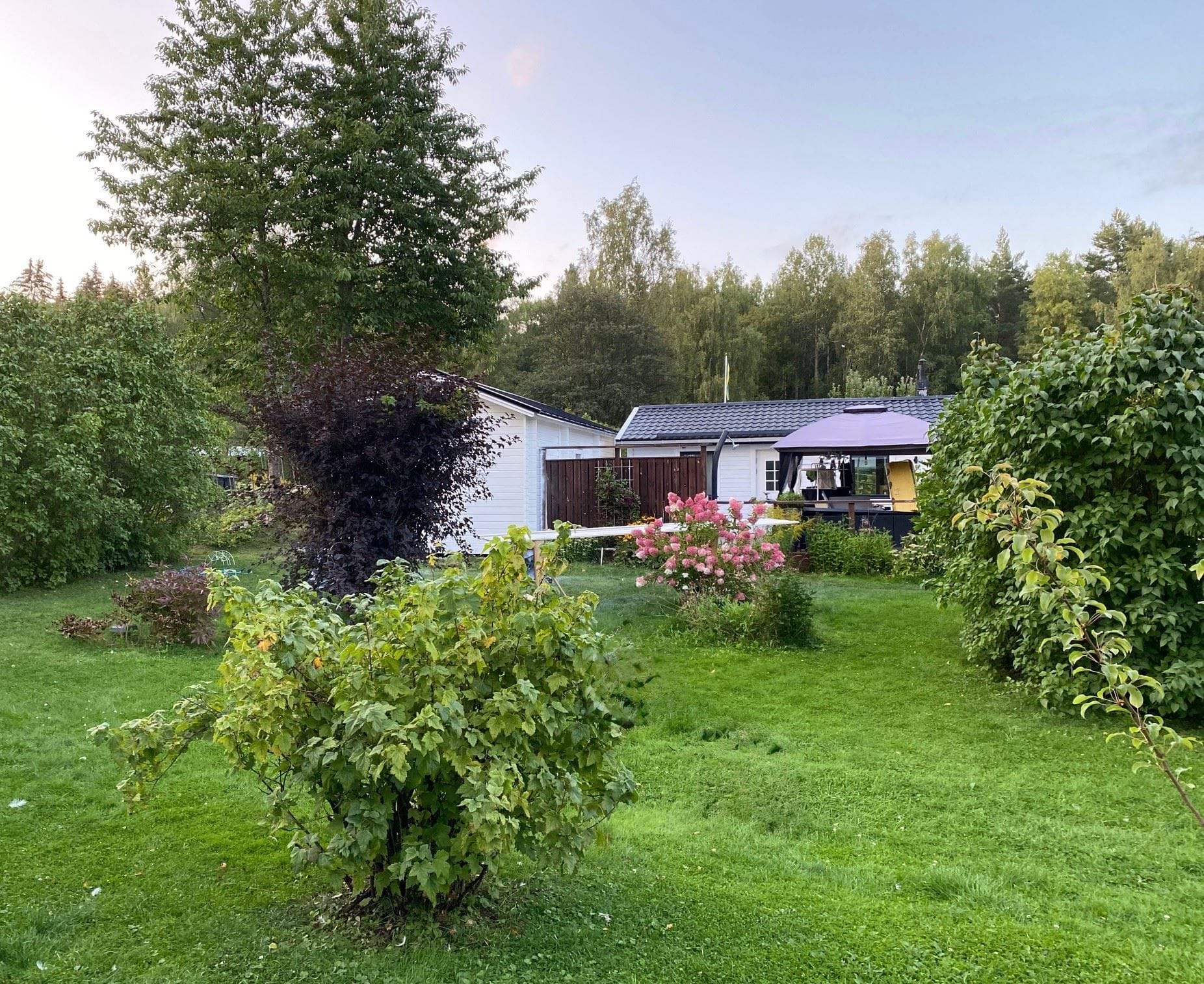 Egentagen bild