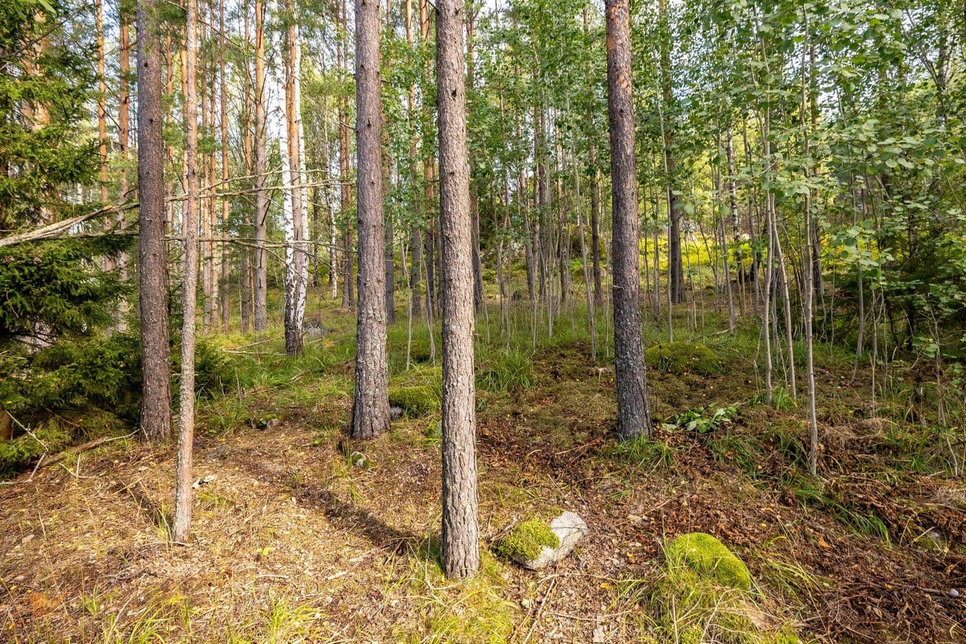 Mjölkarvägen 7 Mjölkarvägen 7