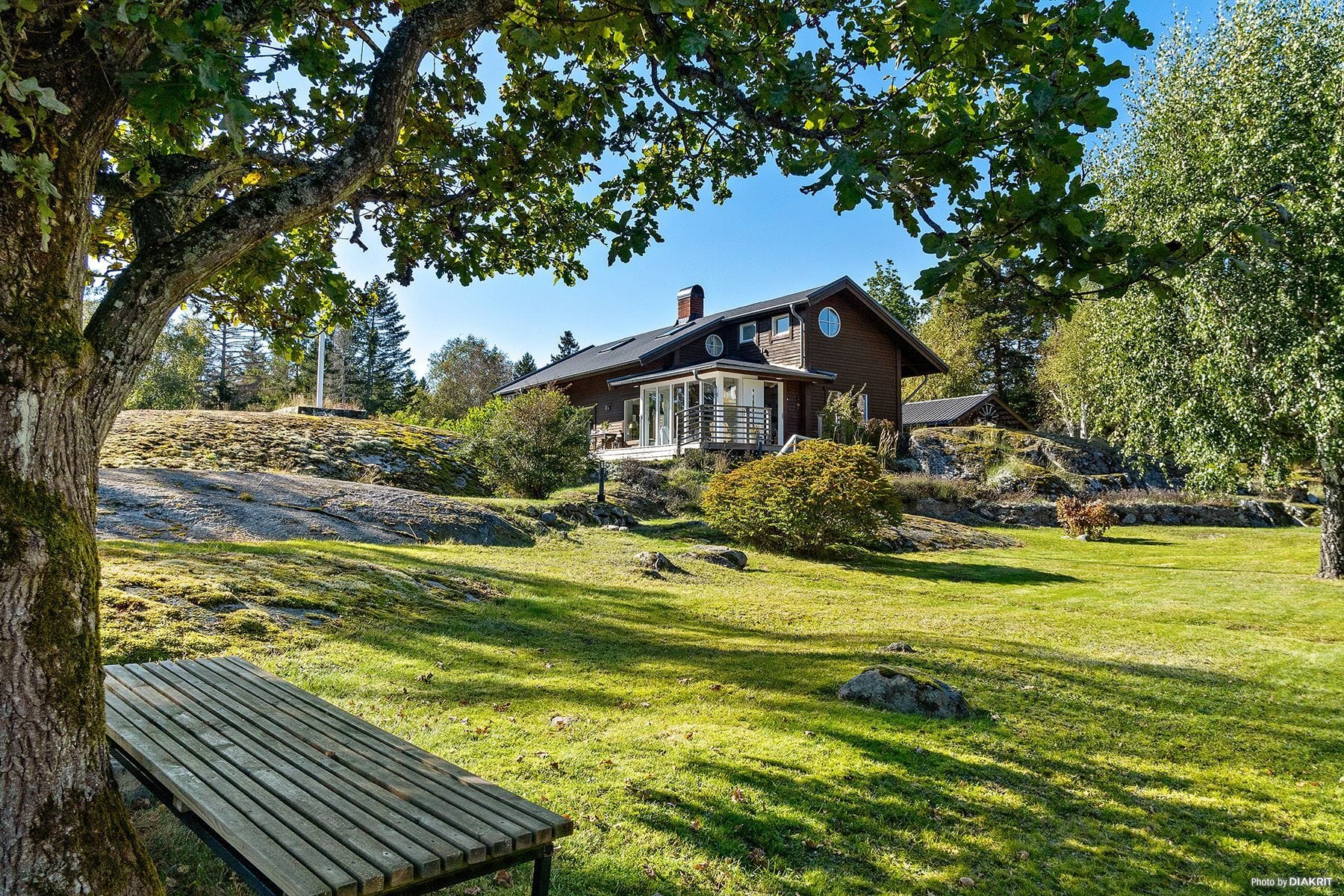 Trädgård