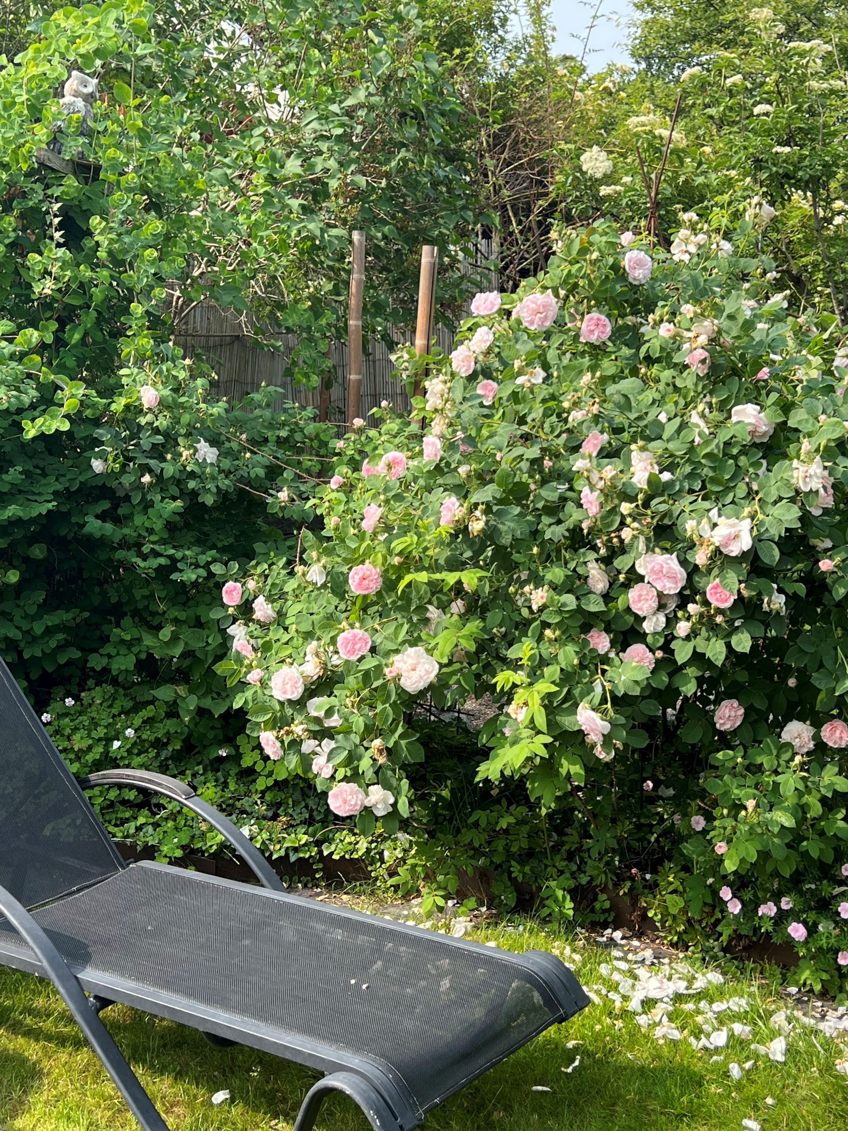 Säljarens sommarbild