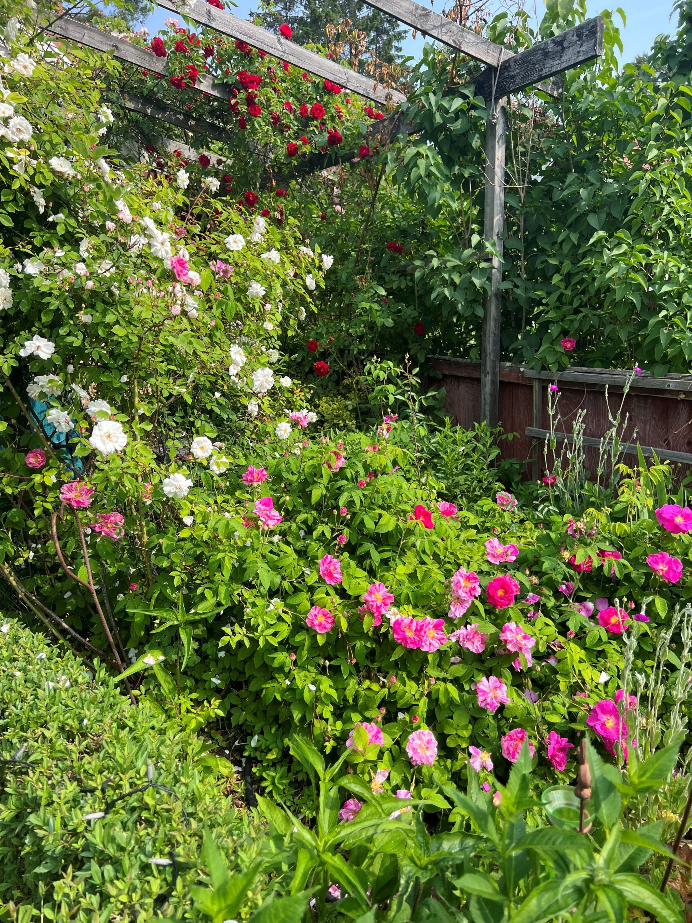 Säljarens sommarbild