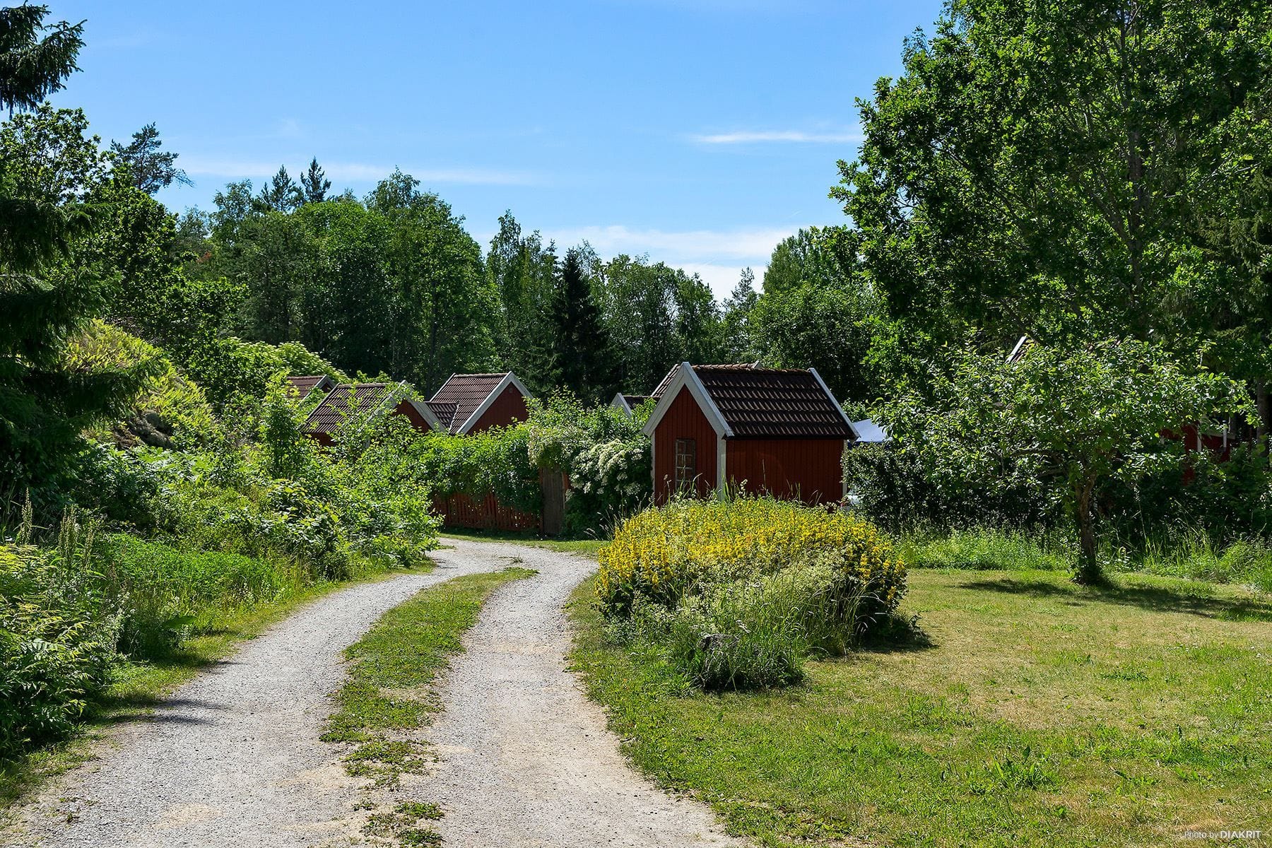 Hjortens Odling