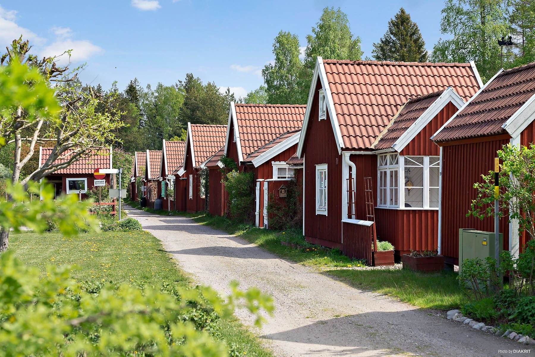 Hjortens Odling