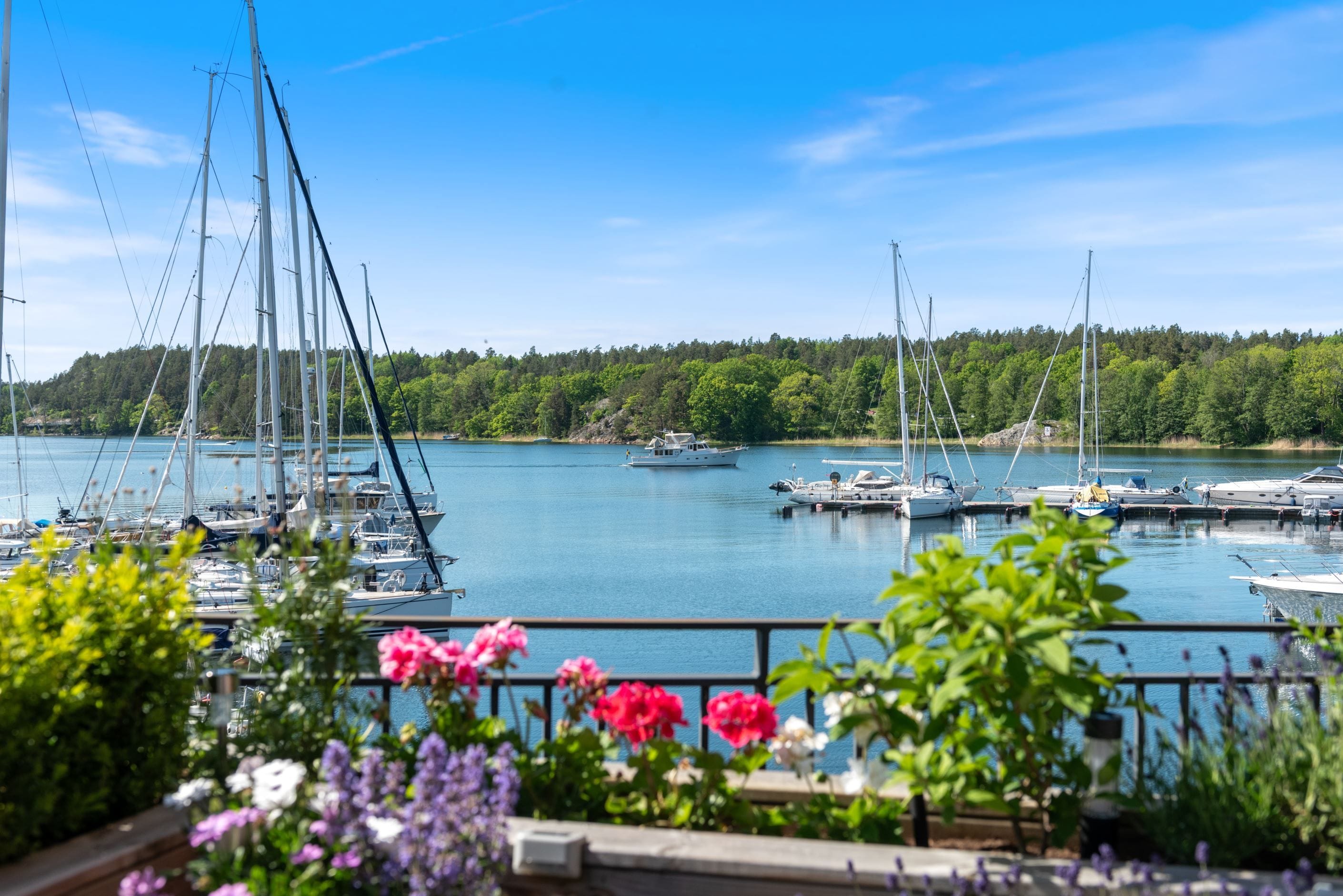Bo med havet som närmsta granne