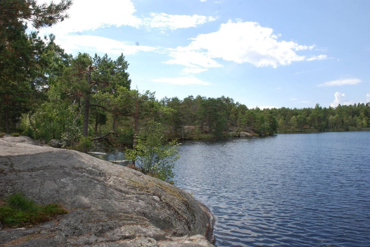Flåsjön